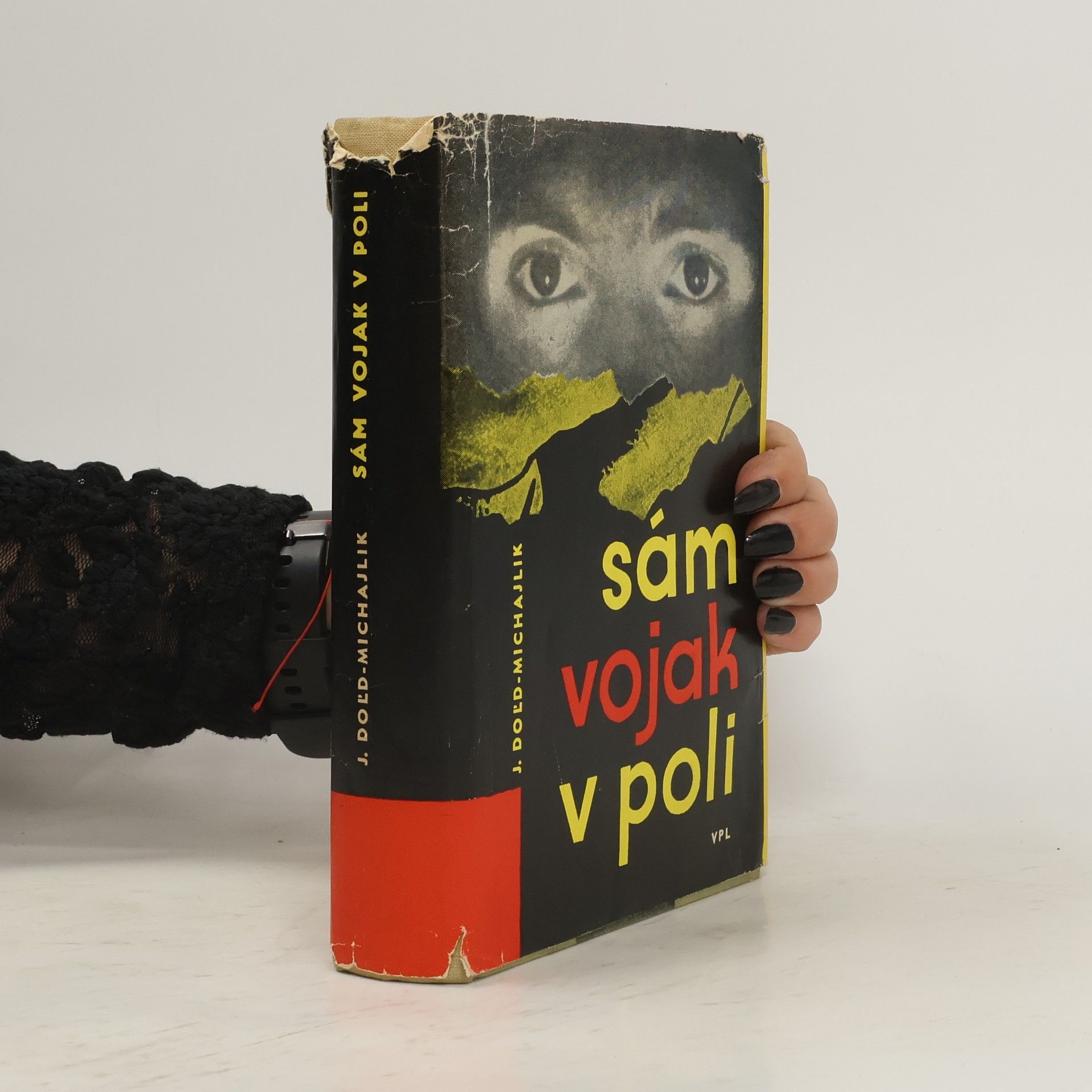 Jurij Dol'd-Mychajlyk Sám vojak v poli