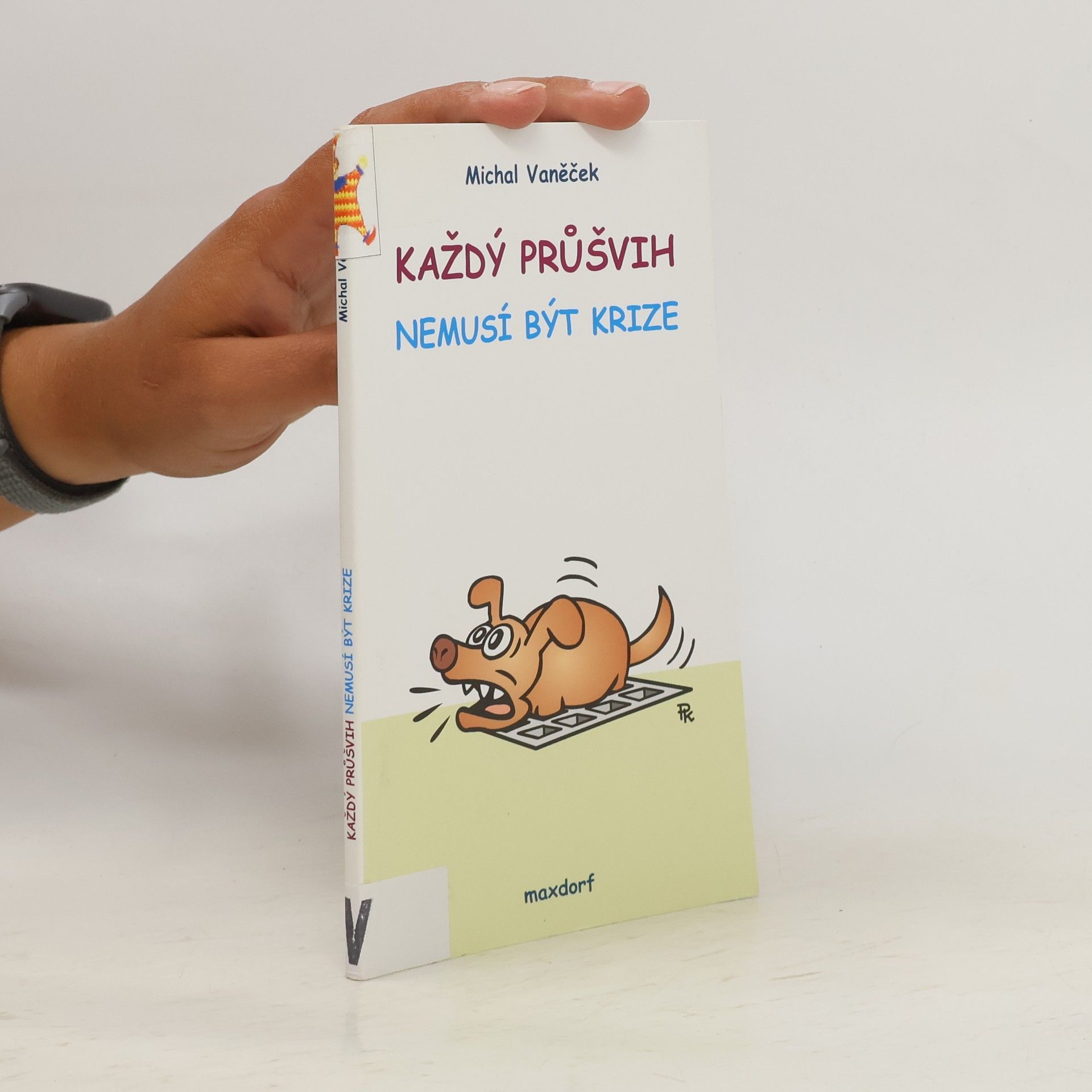 Michal Vaněček Každý průšvih nemusí být krize : 1995-2007
