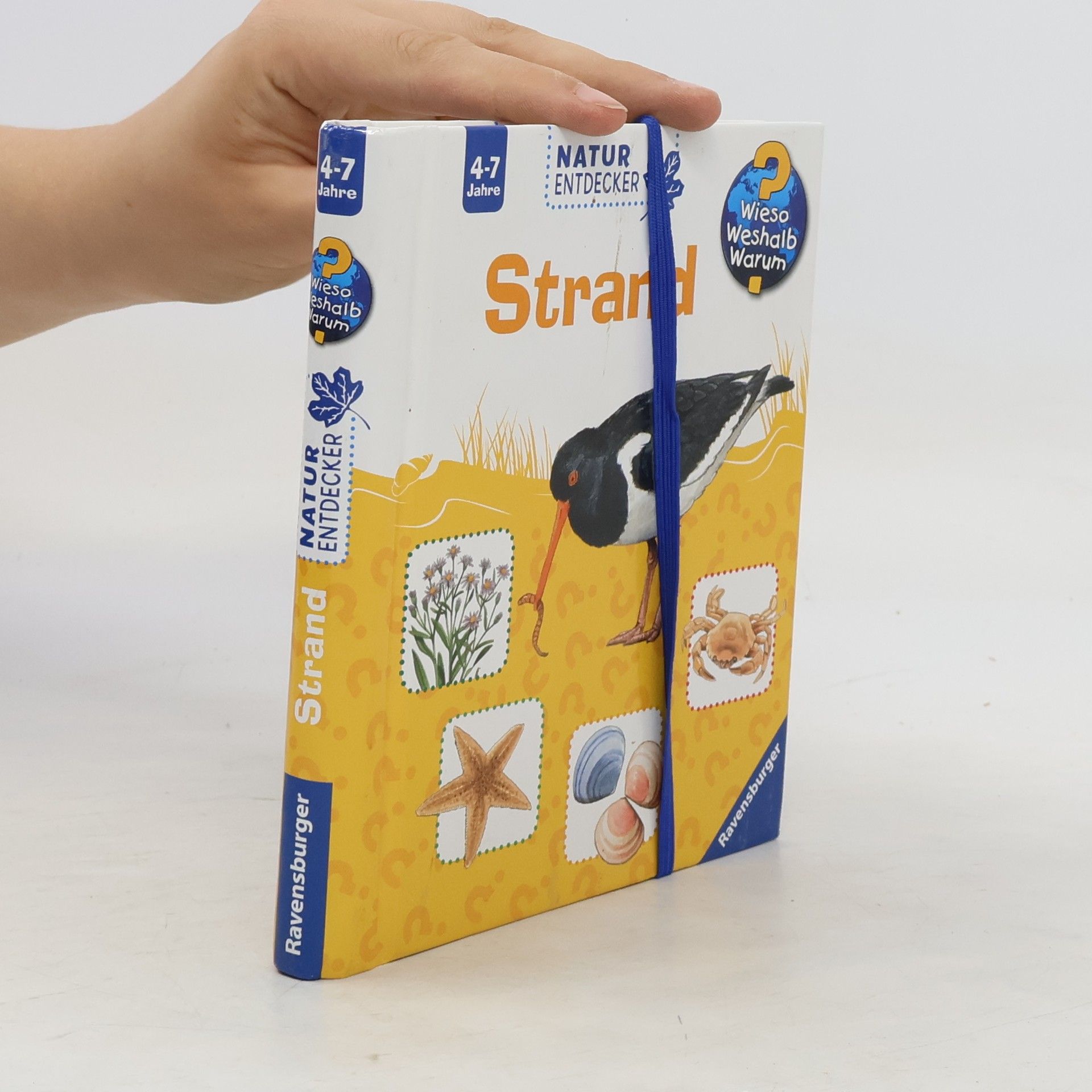 Steffen Walentowitz Strand