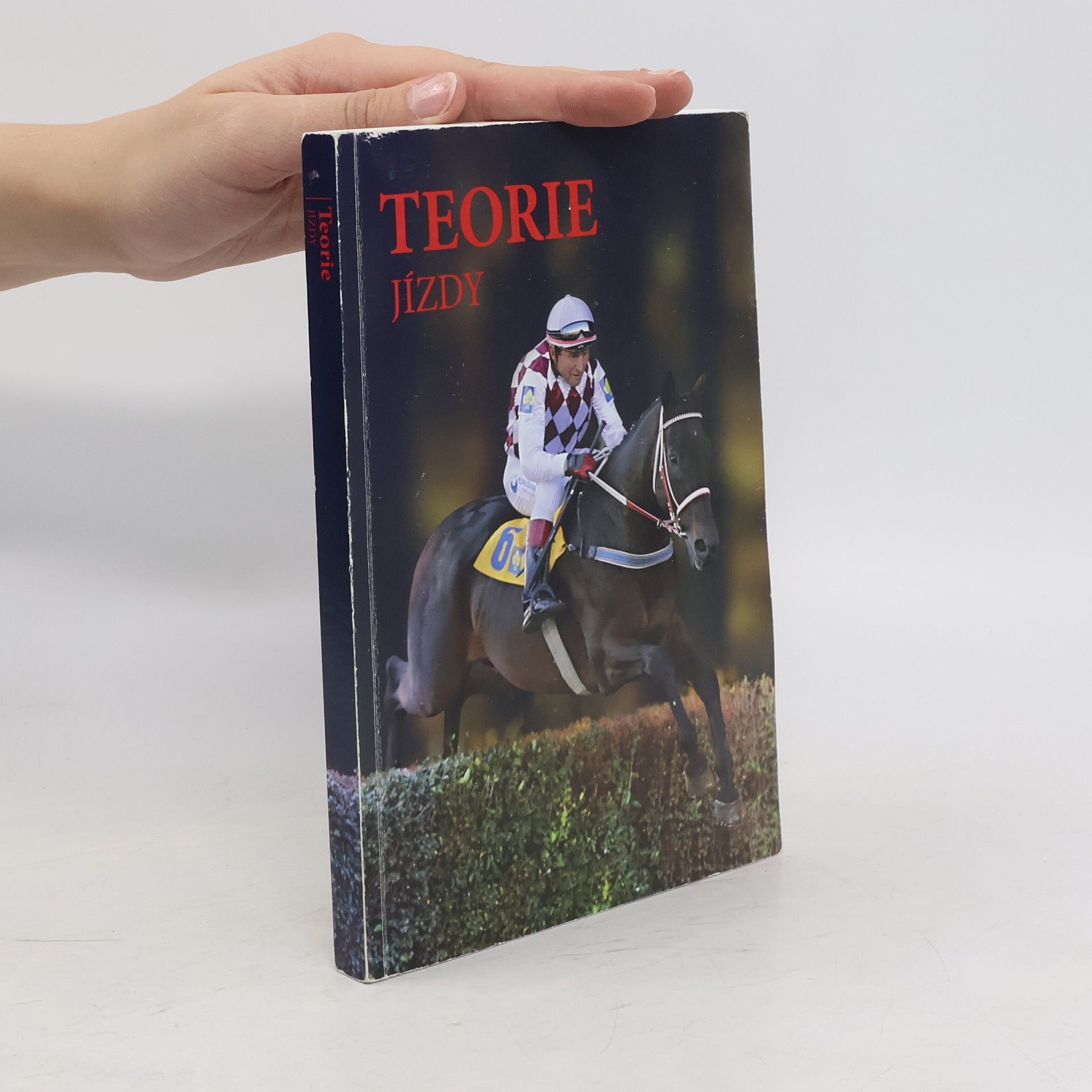 Martina Krejčí Teorie jízdy