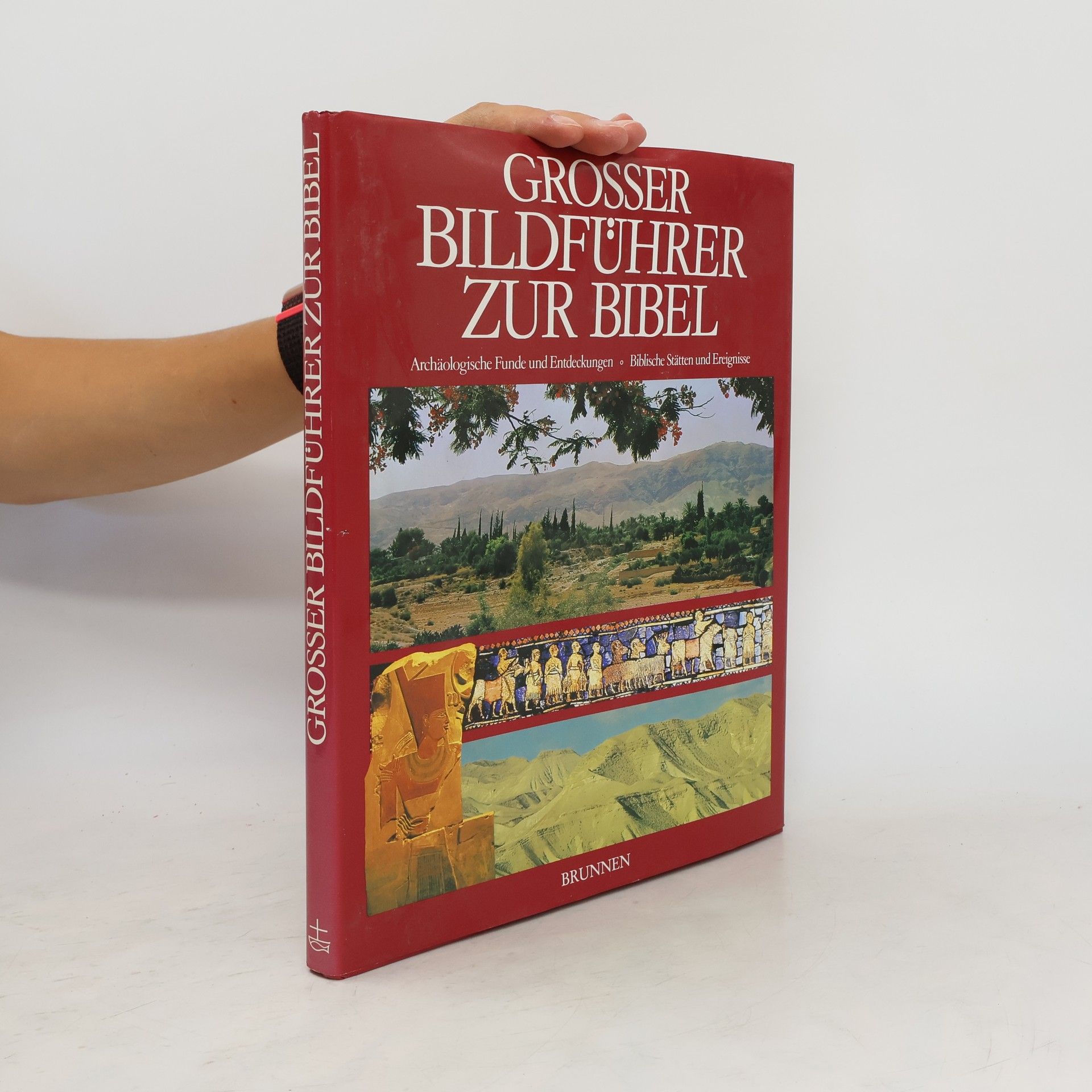 Caroline Masom Grosser Bildführer zur Bibel