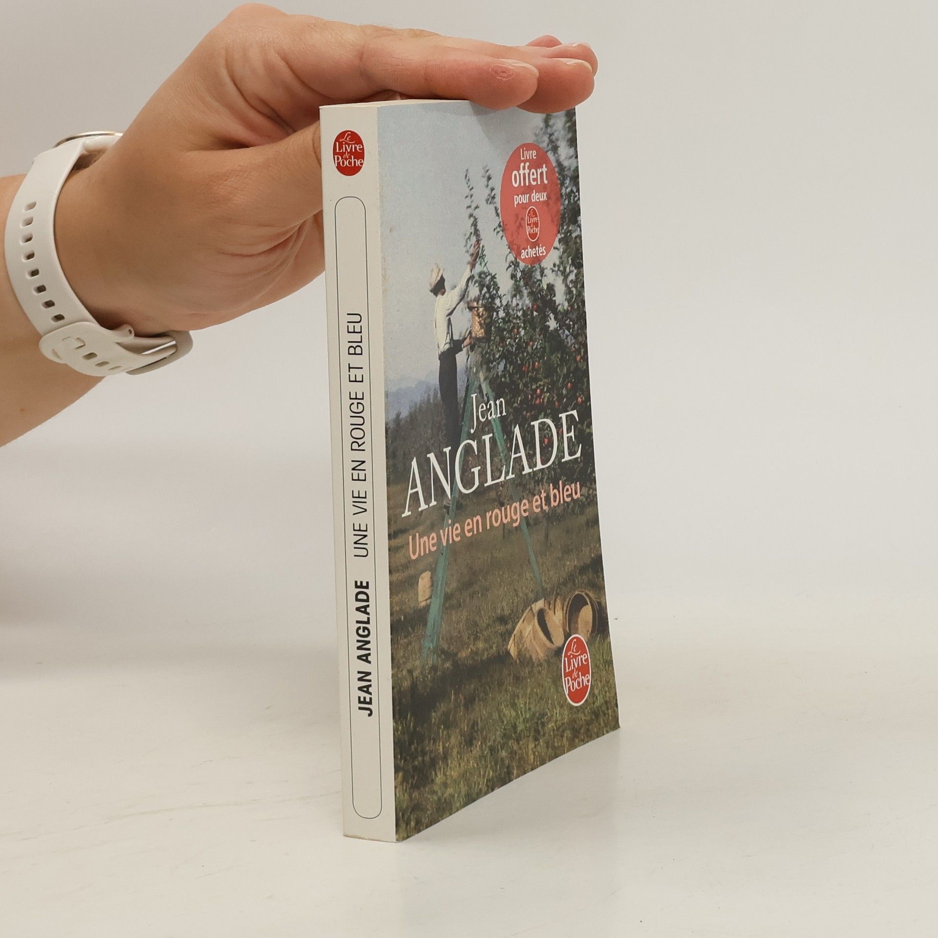 Jean Anglade Une Vie En Rouge Et Bleu
