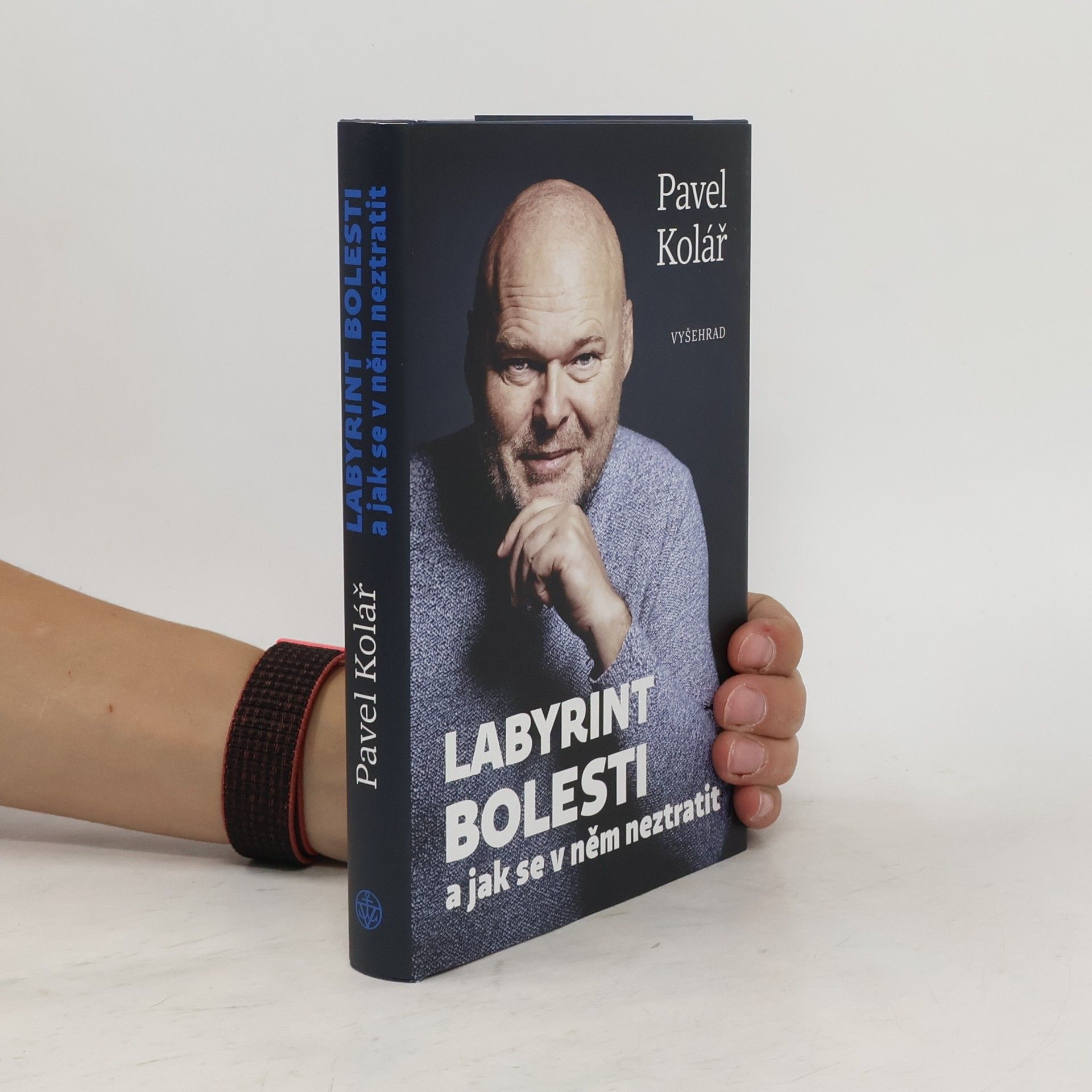 Pavel Kolář Labyrint bolesti a jak se v něm neztratit