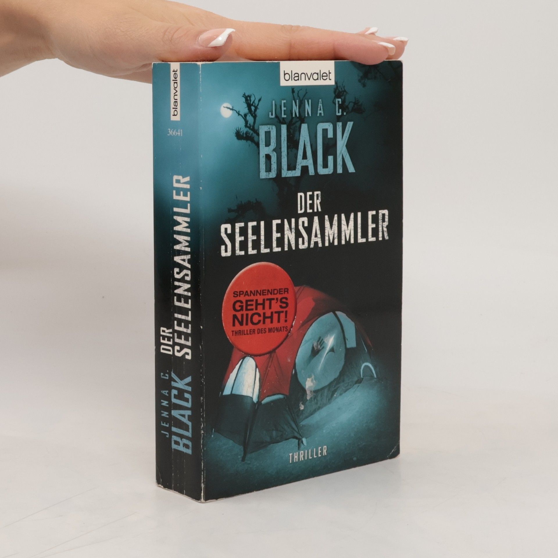 Jenna C. Black Der Seelensammler