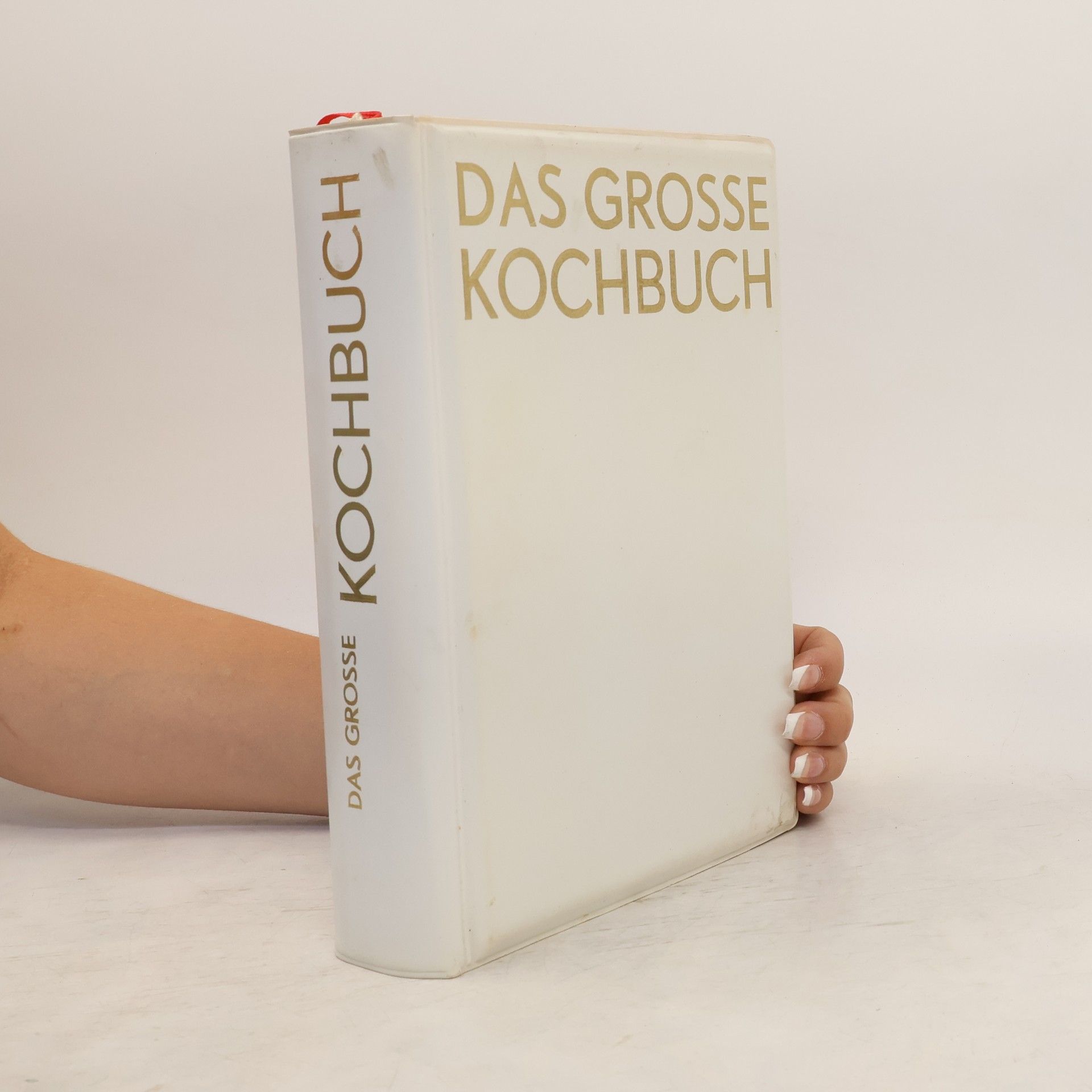 Vilém Vrabec Das Grosse Kochbuch
