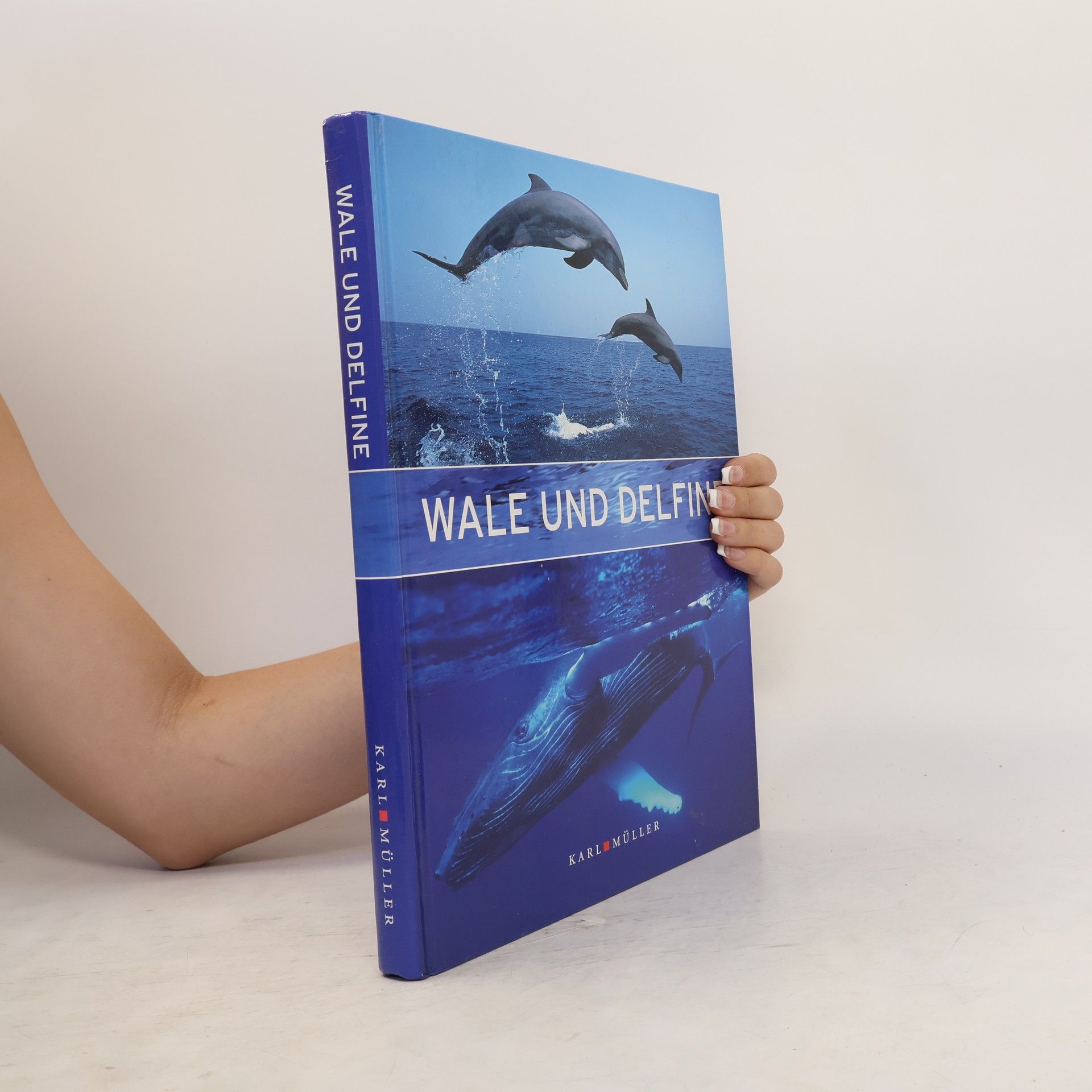 Jo rg Keller Wale und Delfine