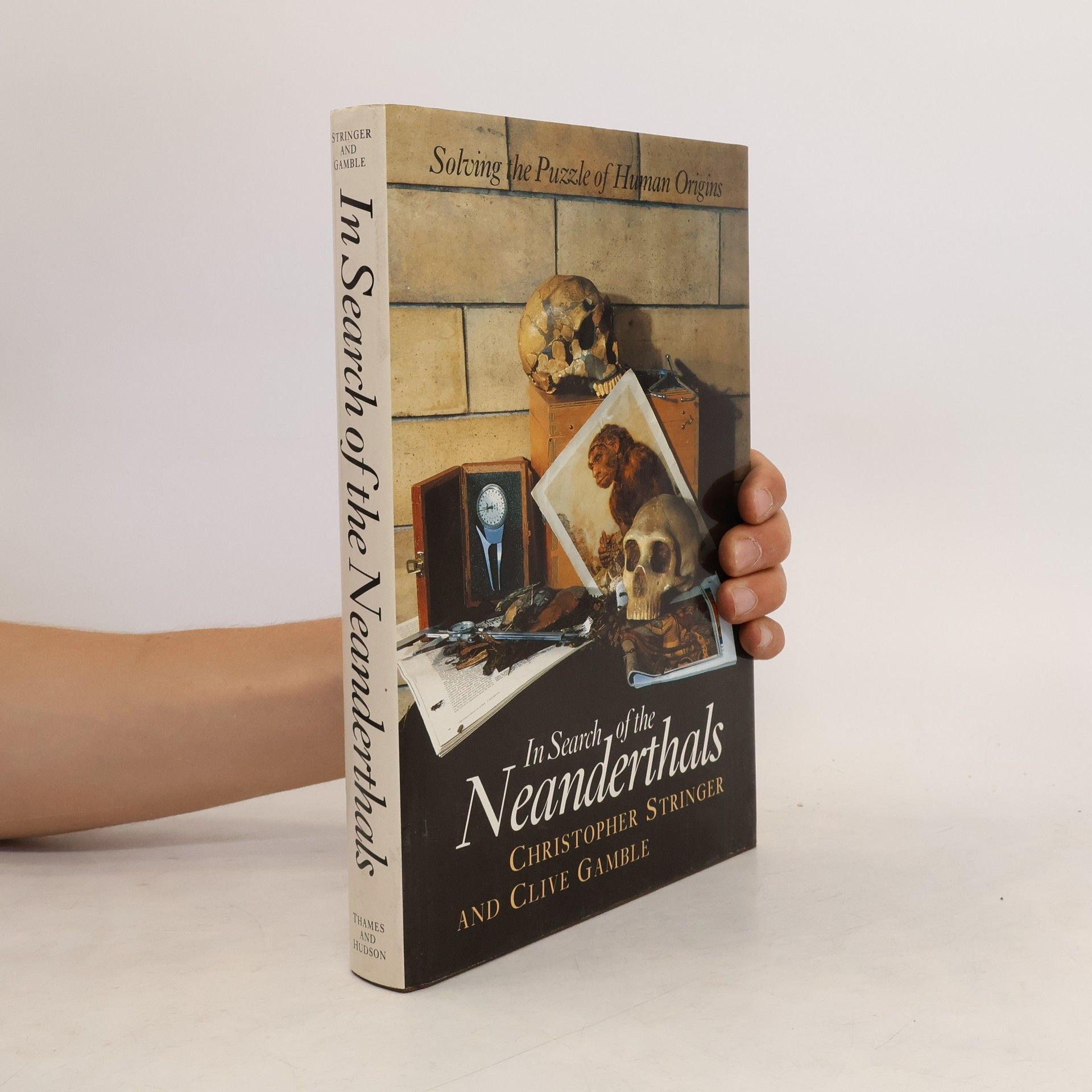 Christopher Stringer In Search of the Neanderthals