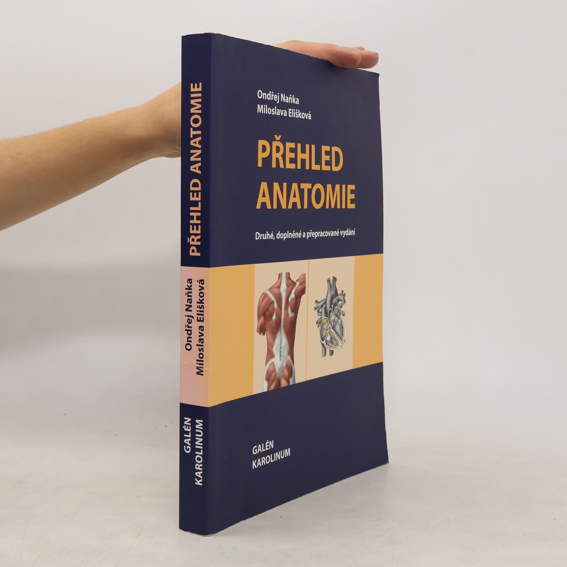 kolektiv Přehled anatomie