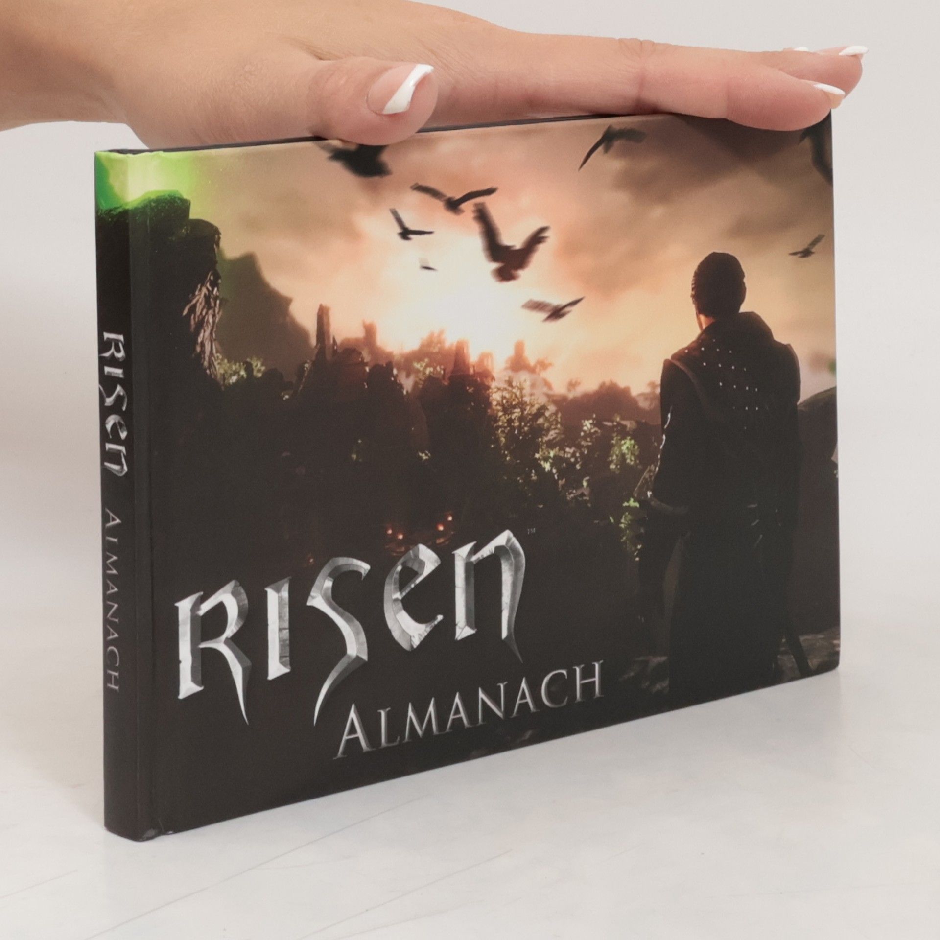 Autorenkollektiv Risen Almanach