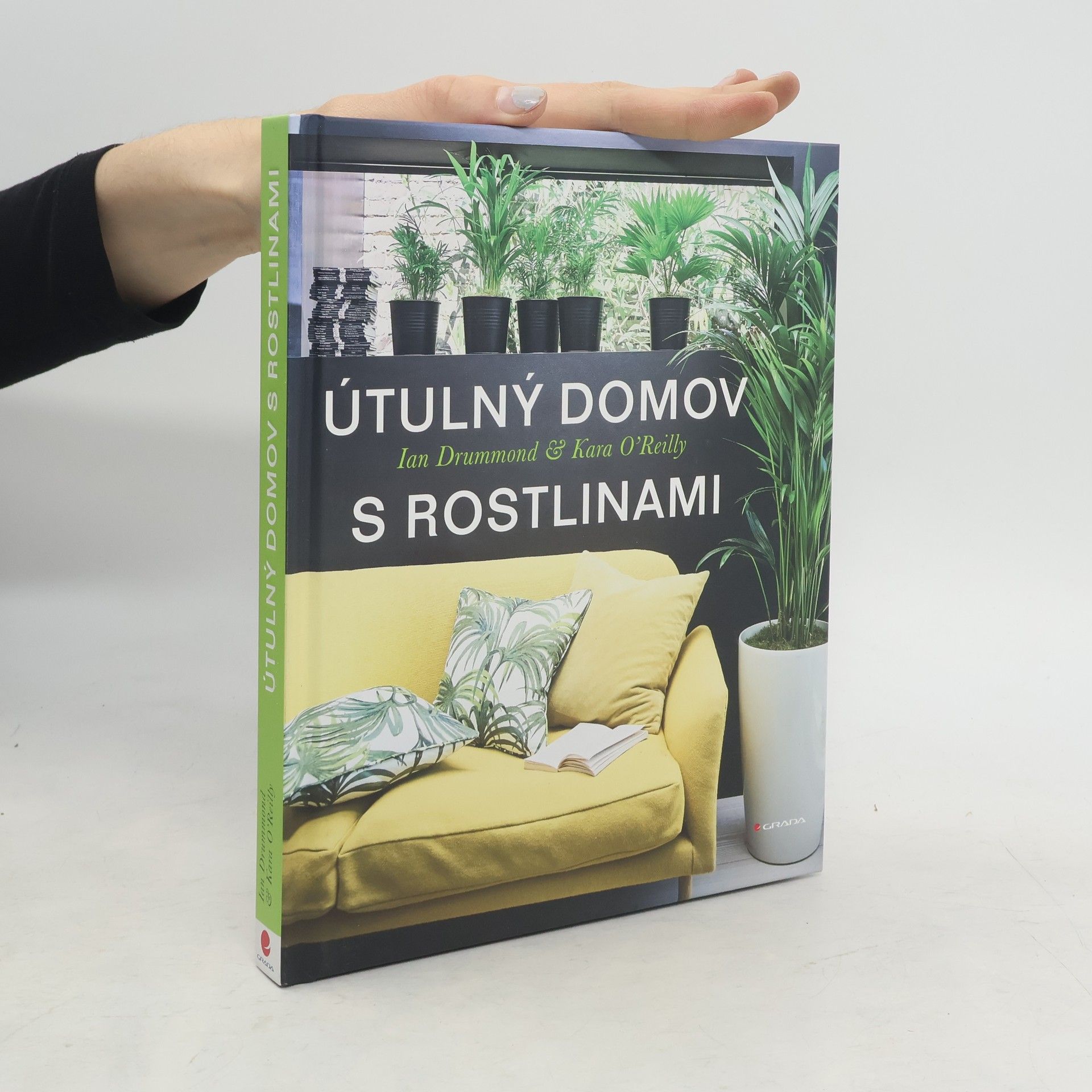 Ian Drummond Útulný domov s rostlinami