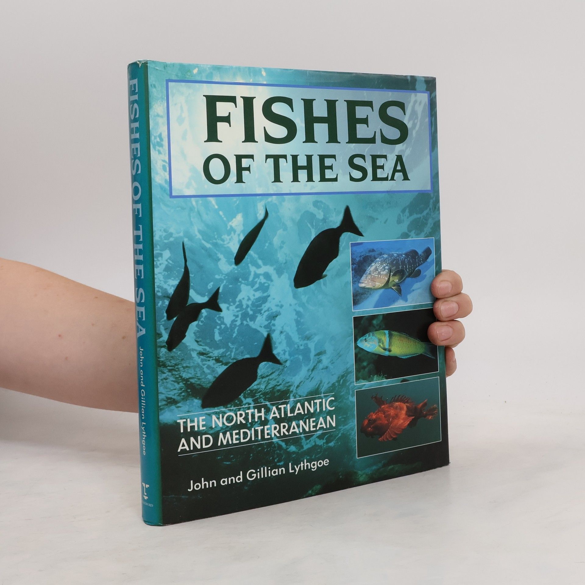 John Lythgoe Fishes of the Sea
