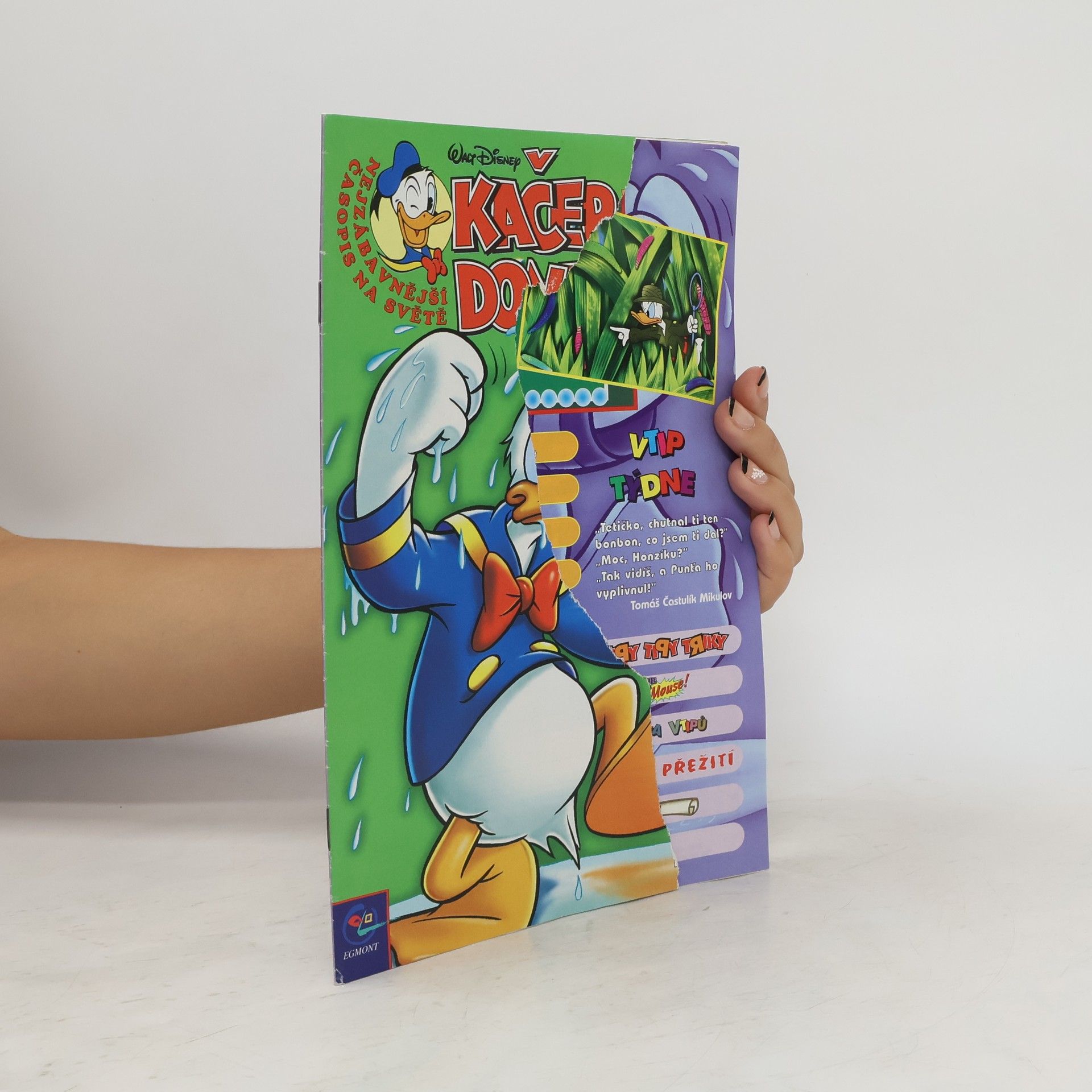 Kolektív autorov Kačer Donald 17/2000