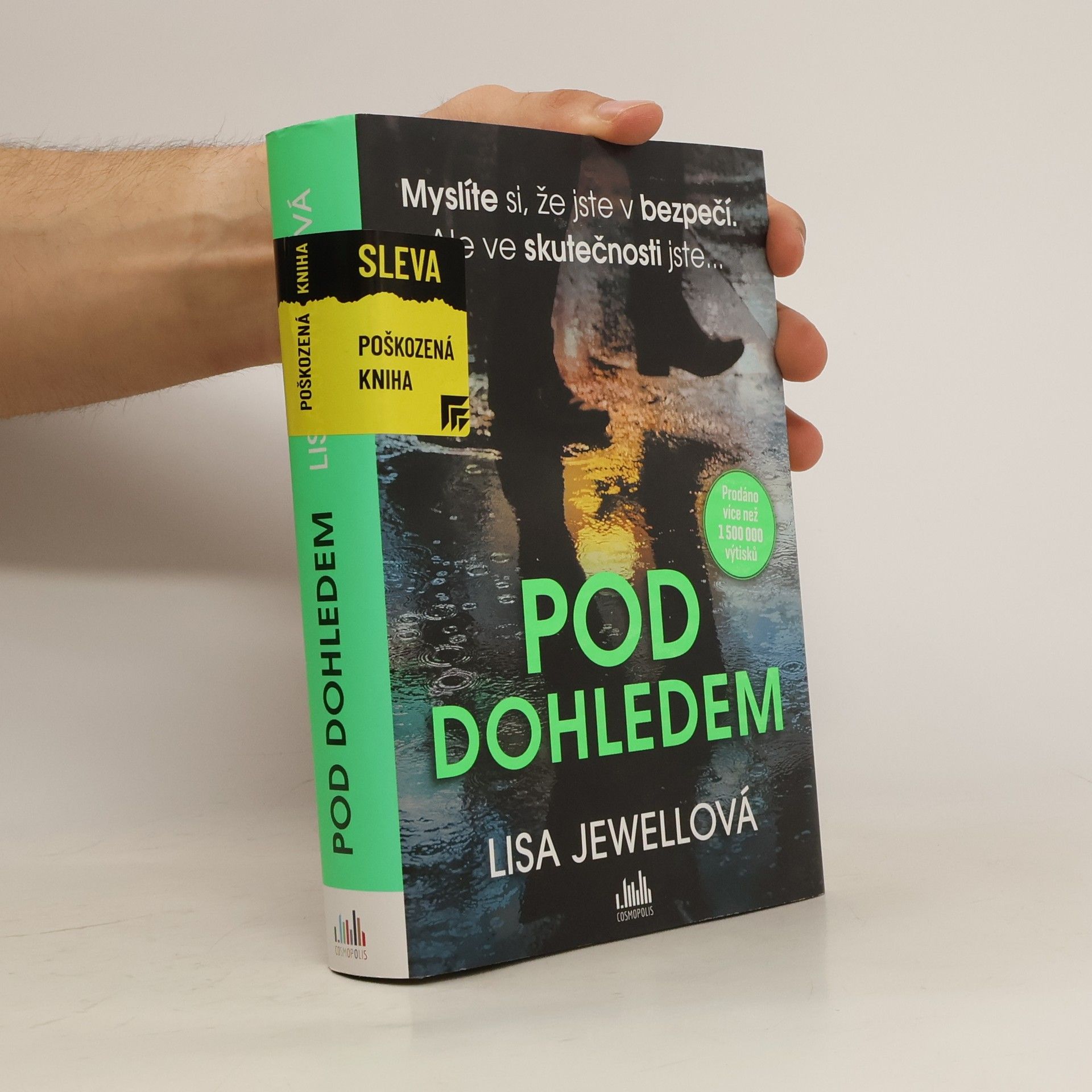Lisa Jewell Pod dohledem