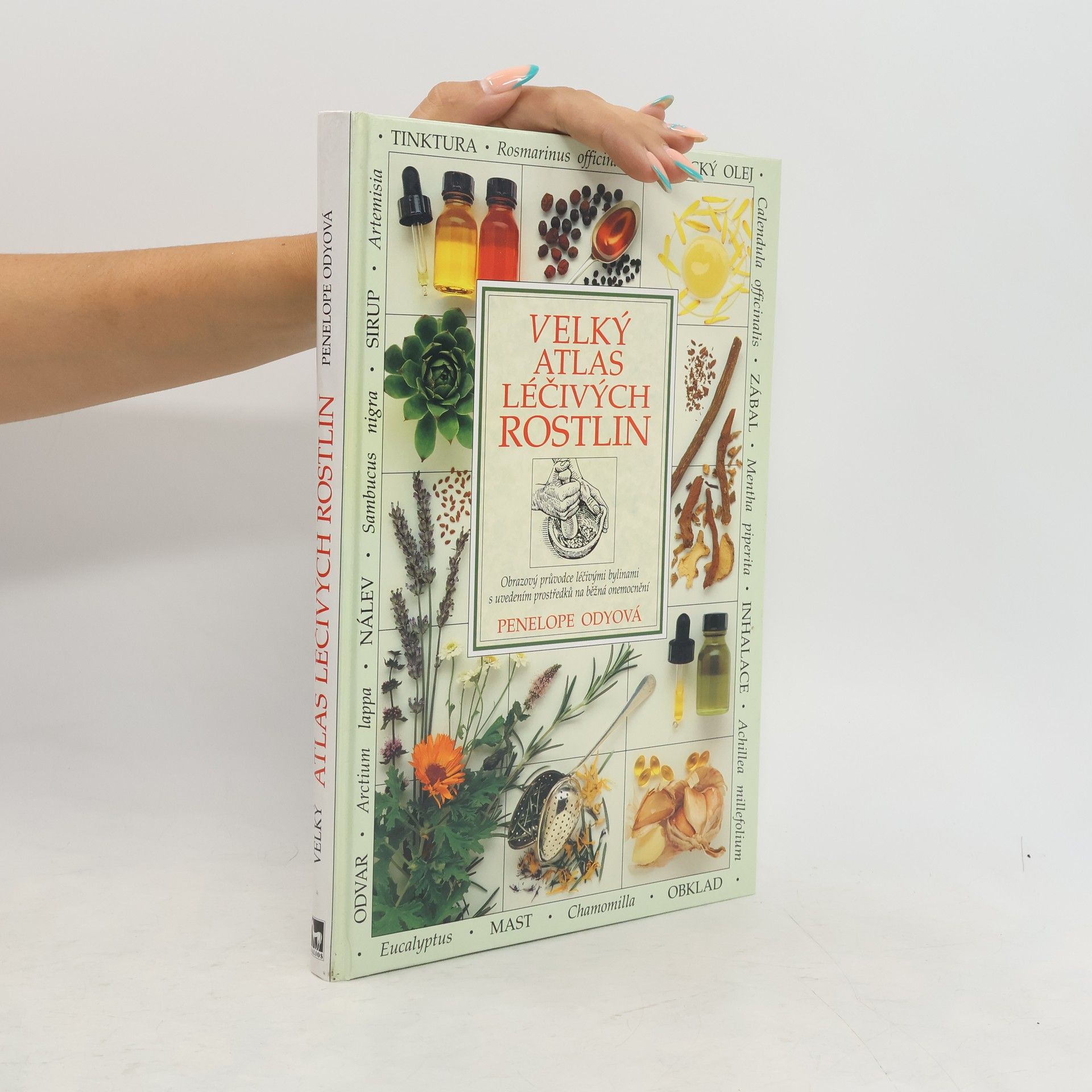 Penelope Ody Velký atlas léčivých rostlin
