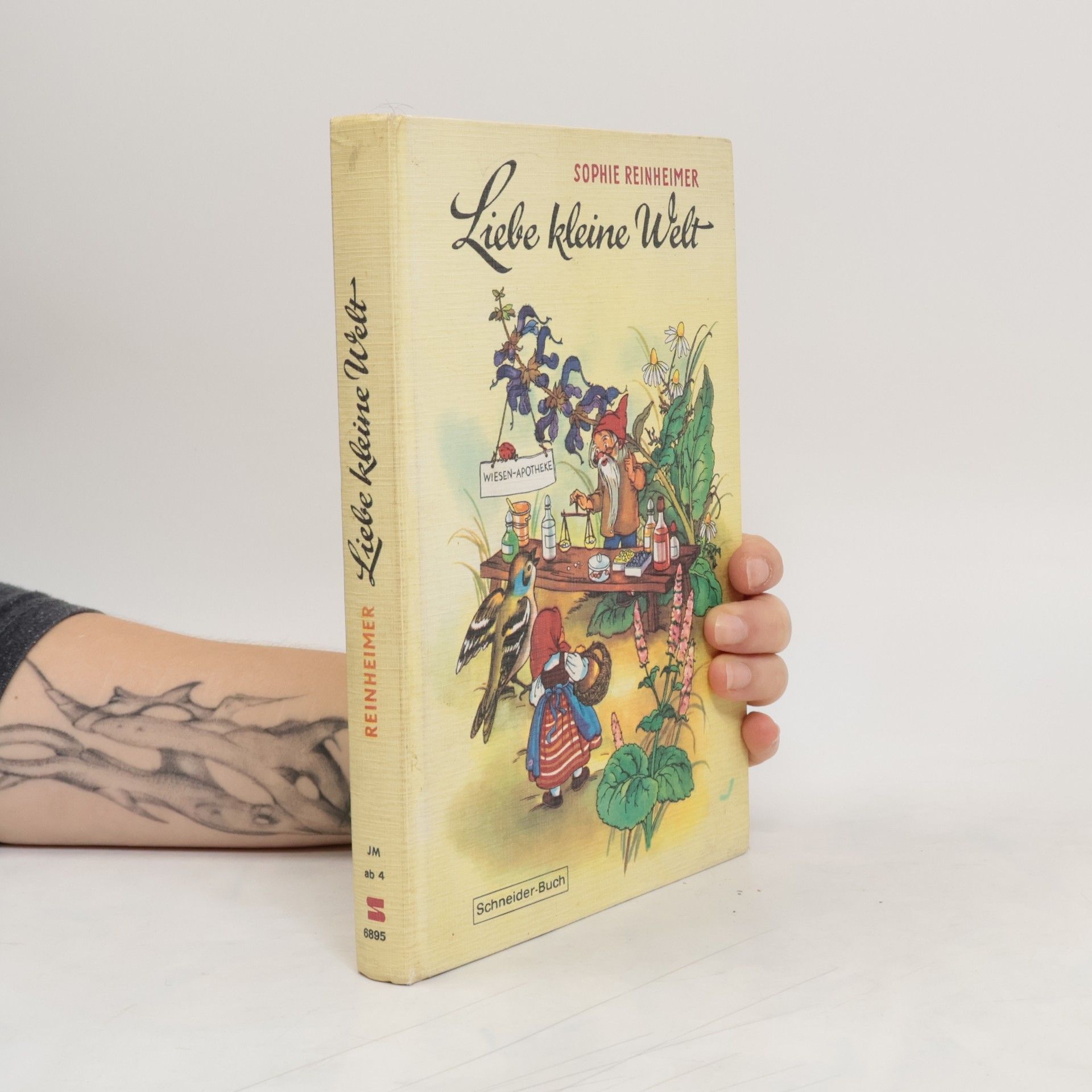 Sophie Reinheimer Liebe kleine Welt