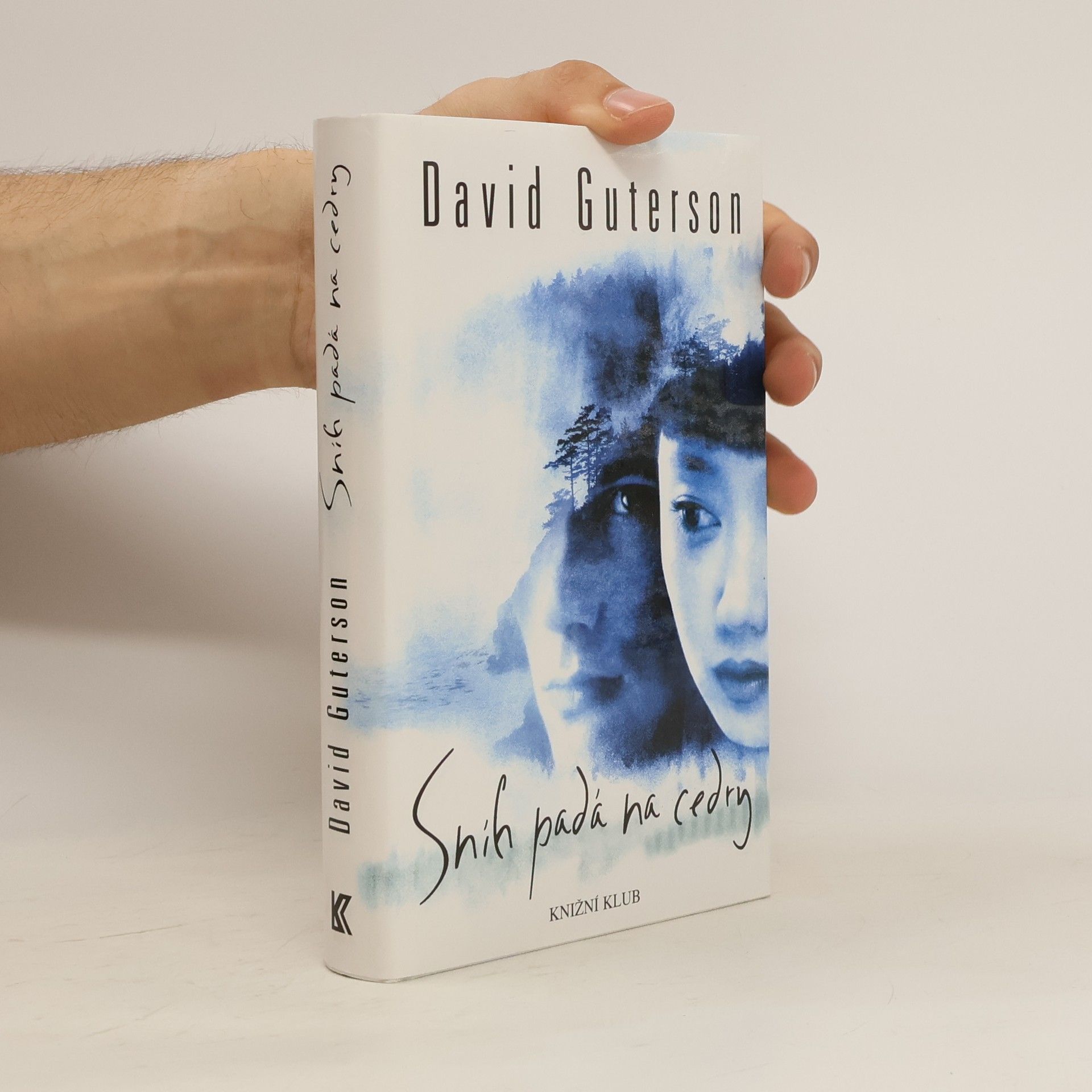 David Guterson Sníh padá na cedry