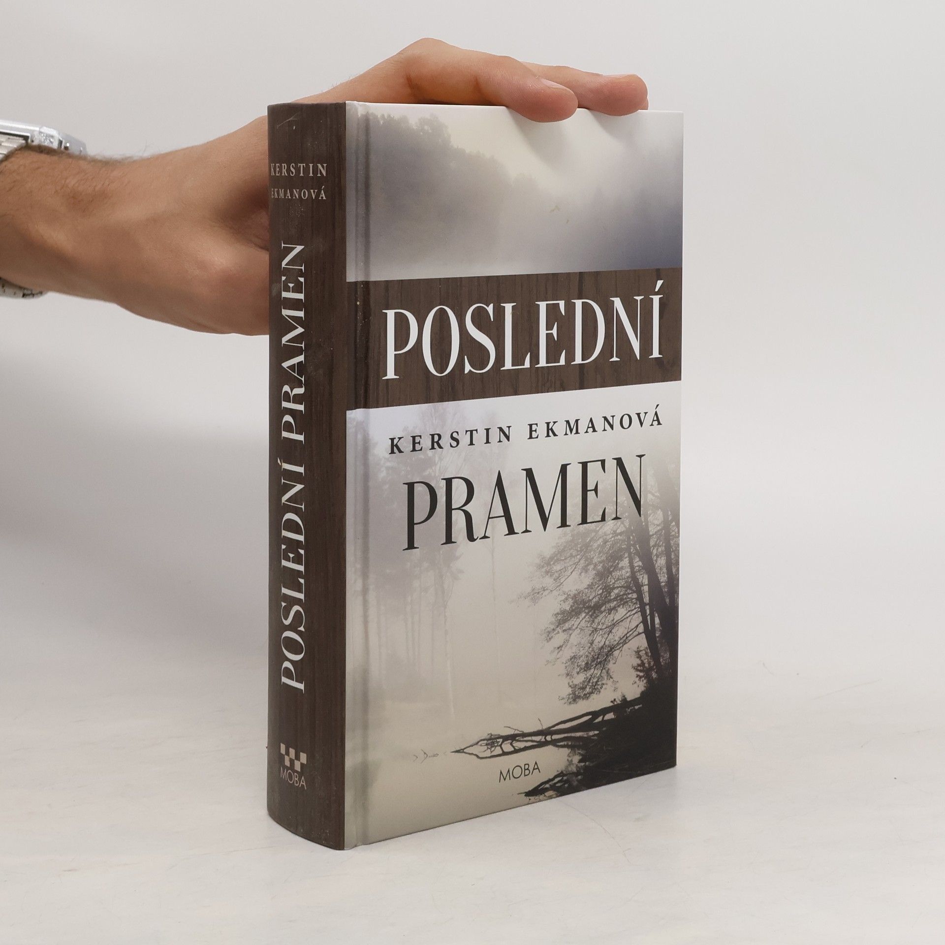 Kerstin Ekman Poslední pramen