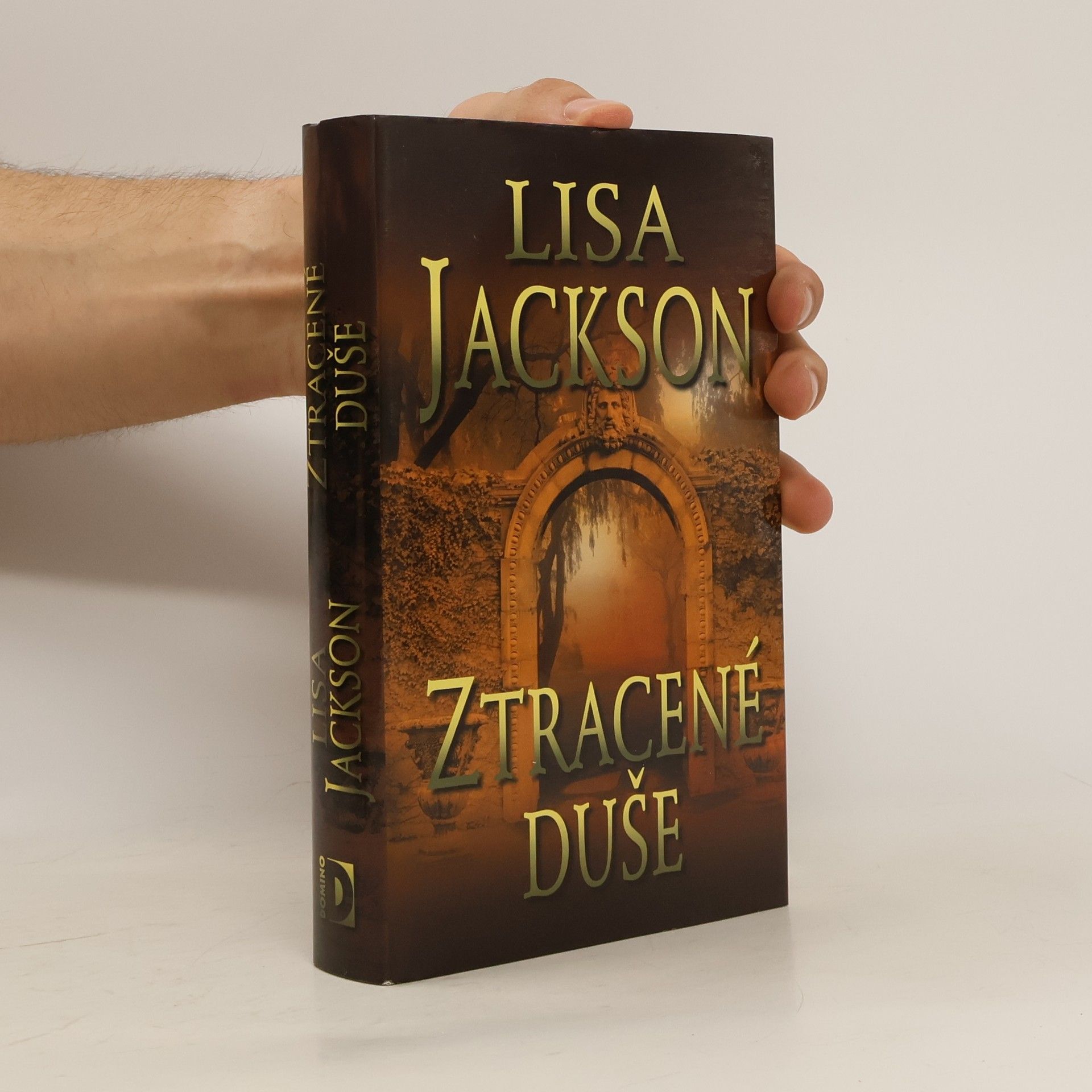 Lisa Jackson Ztracené duše