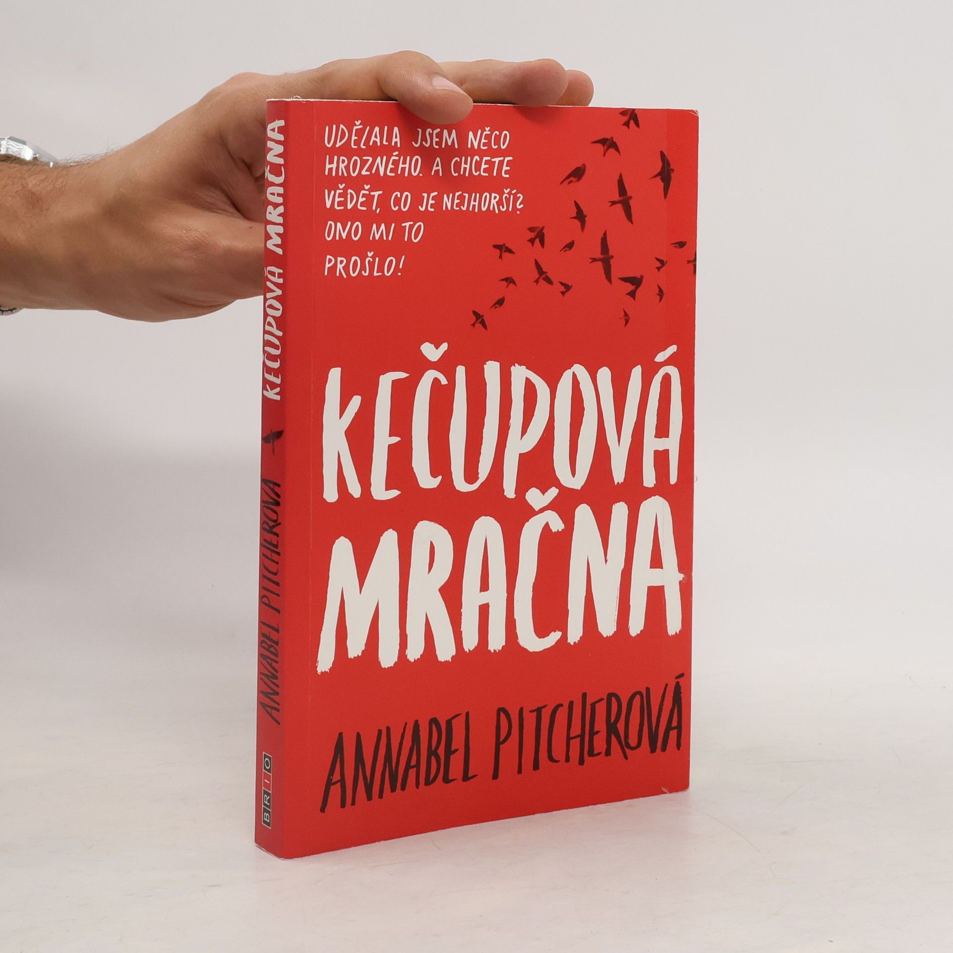 Annabel Pitcher Kečupová mračna