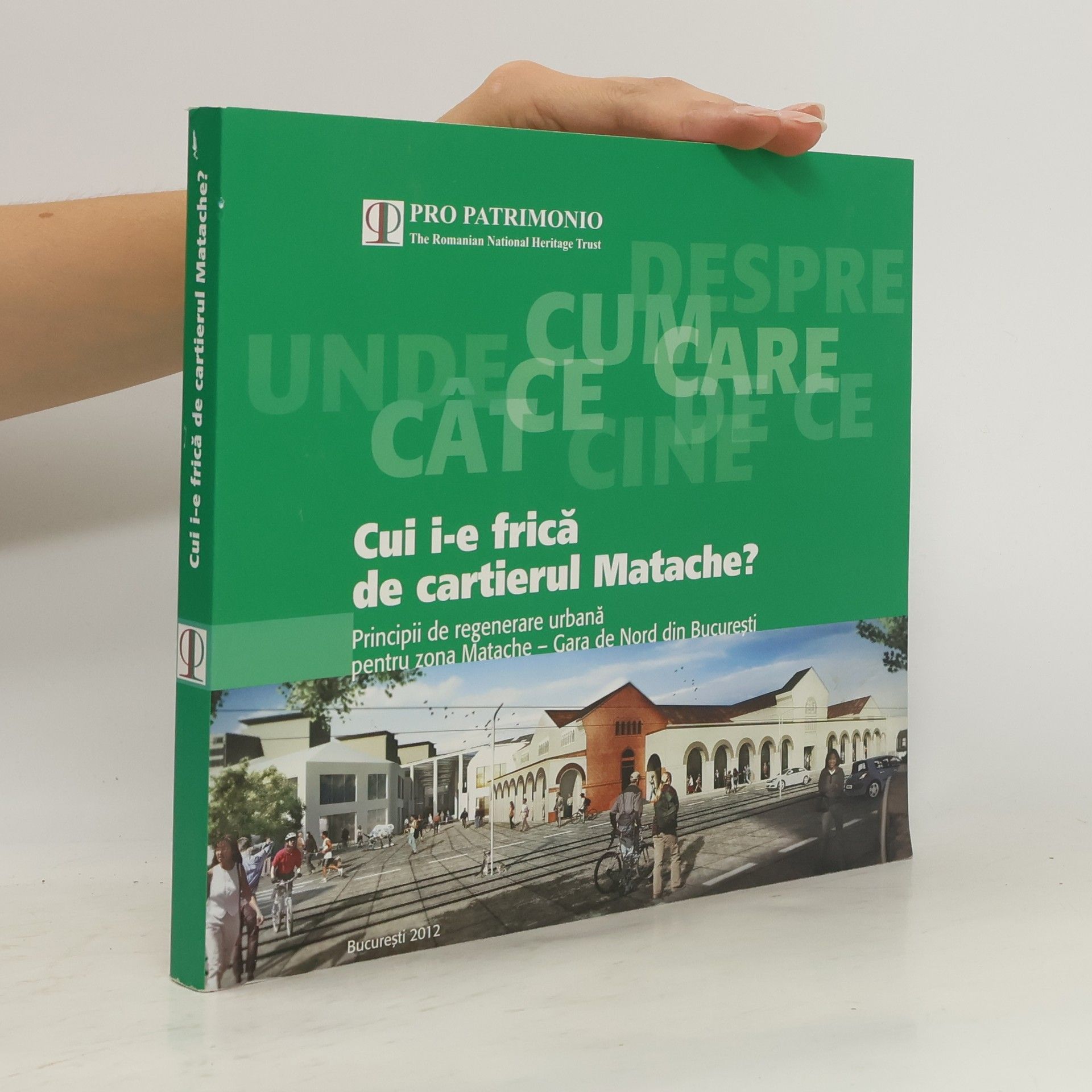 Arhitectii voluntari Cui i-e frică de cartierul Matache?