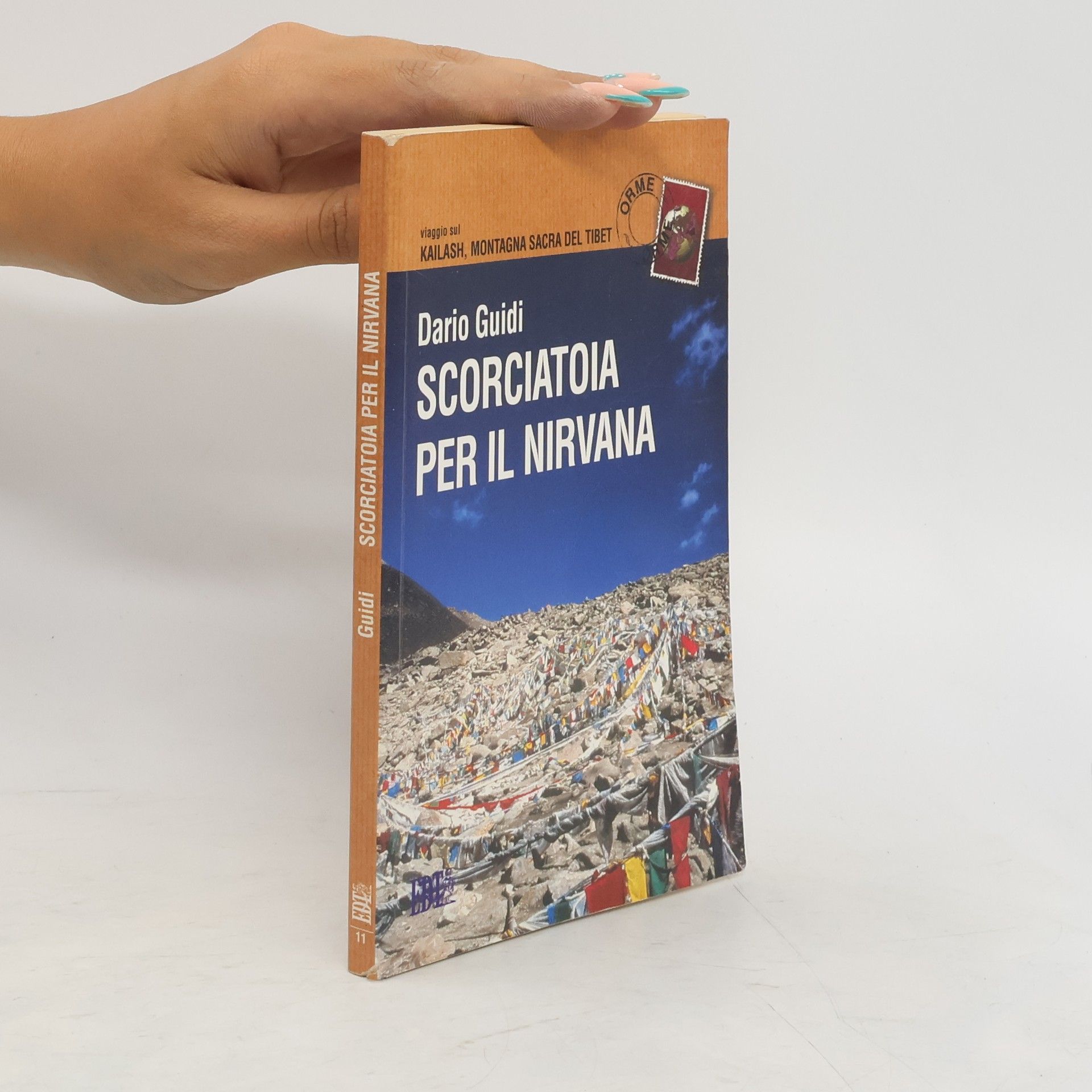 Dario Guidi Scorciatoia per il Nirvana