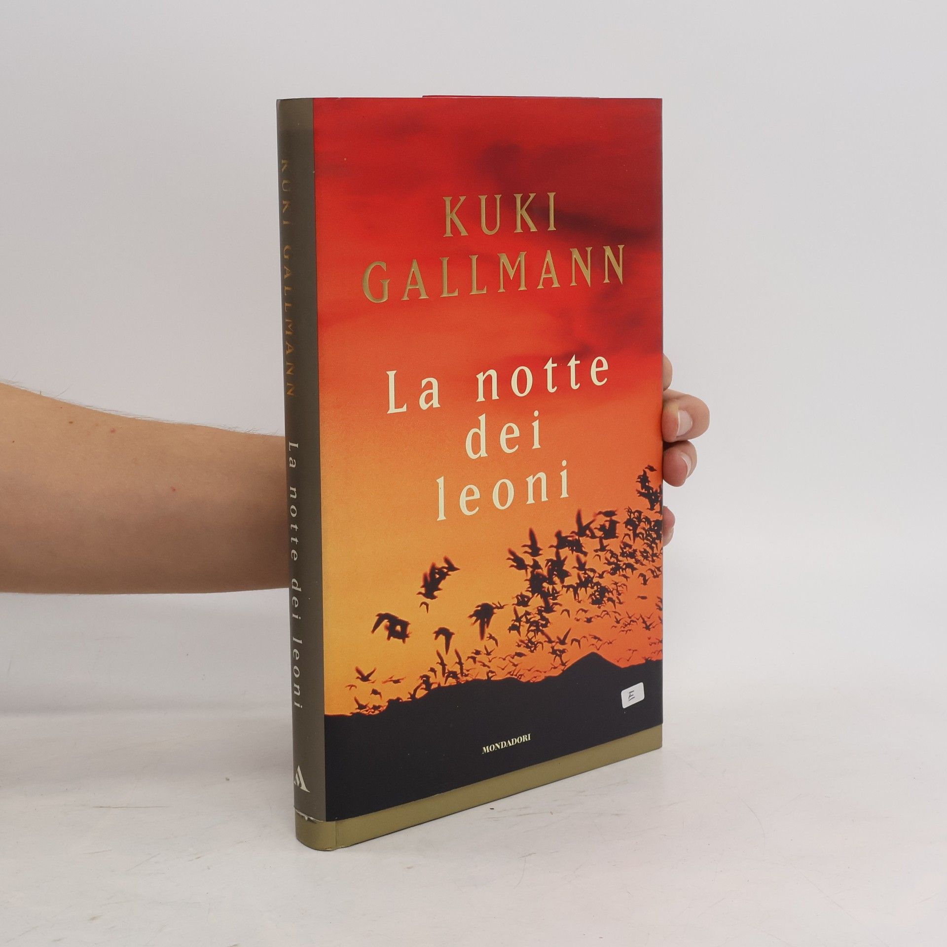 Kuki Gallmann La notte dei leoni