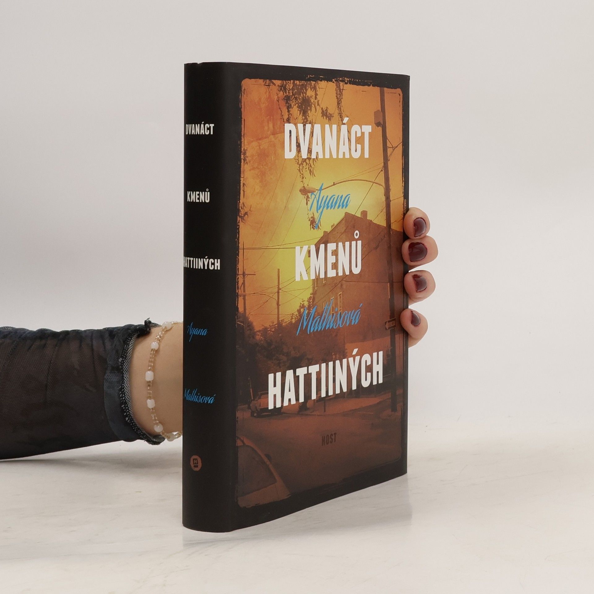 Ayana Mathis Dvanáct kmenů Hattiiných
