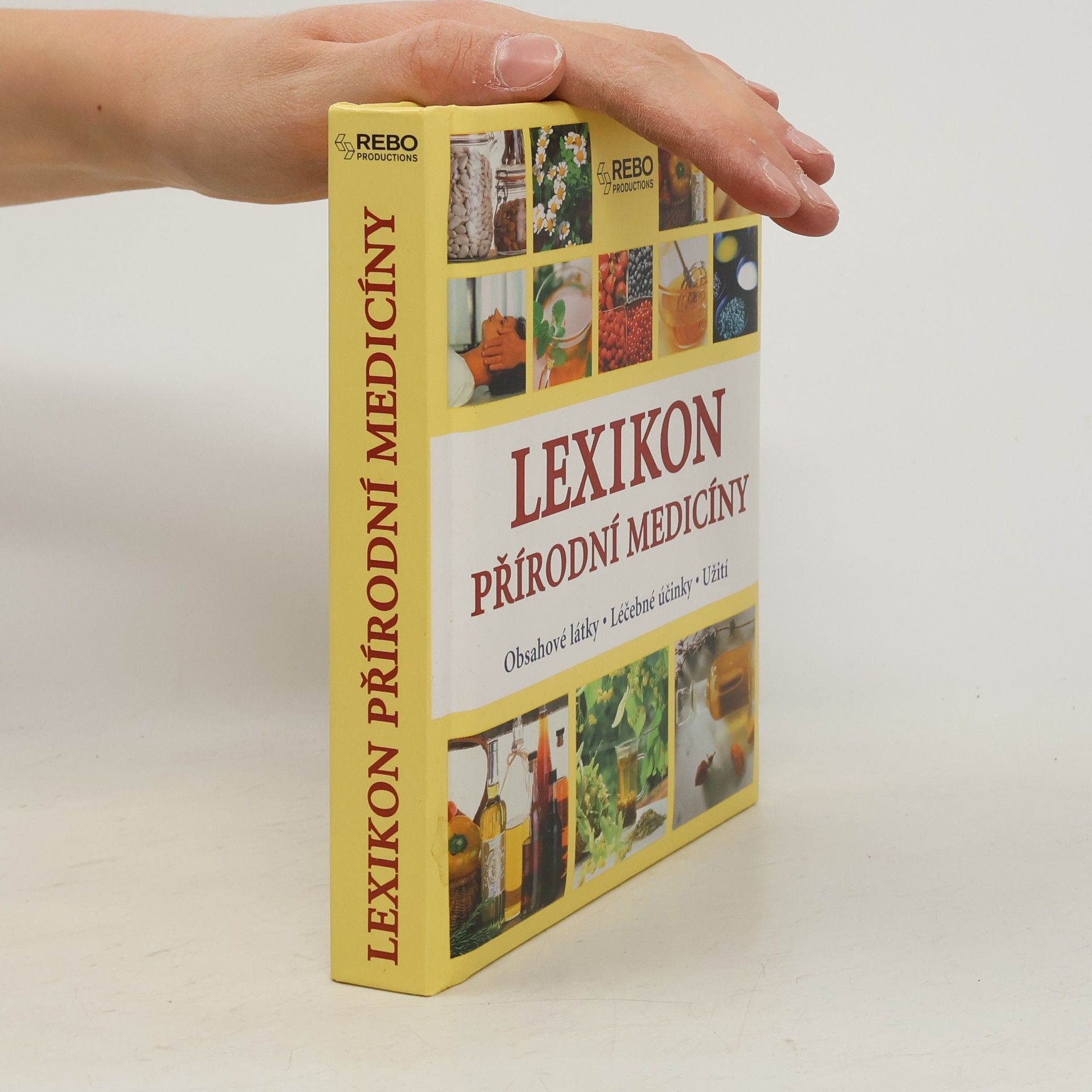 Anne Iburg Lexikon přírodní medicíny