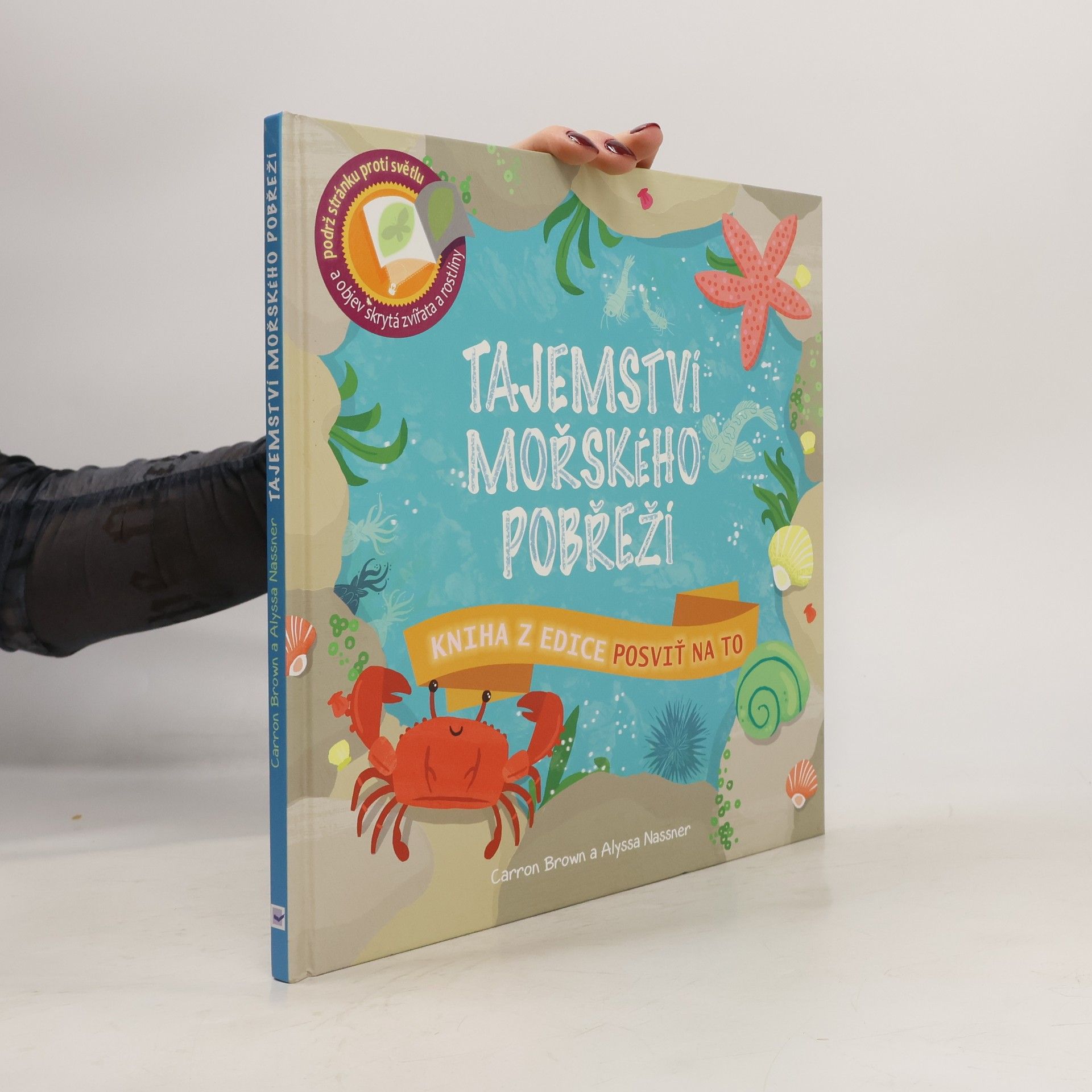 Carron Brown Tajemství mořského pobřeží