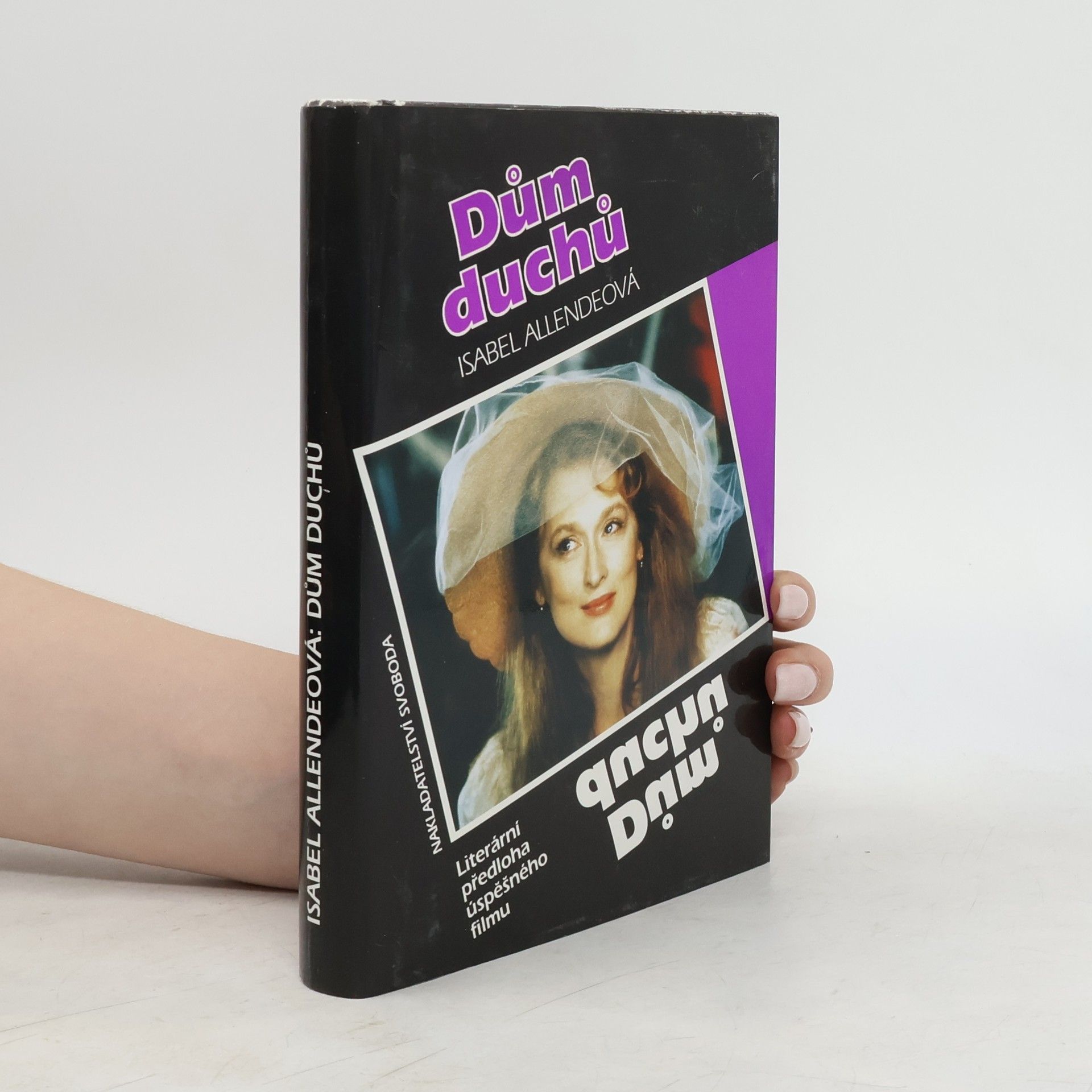 Isabel Allende Dům duchů