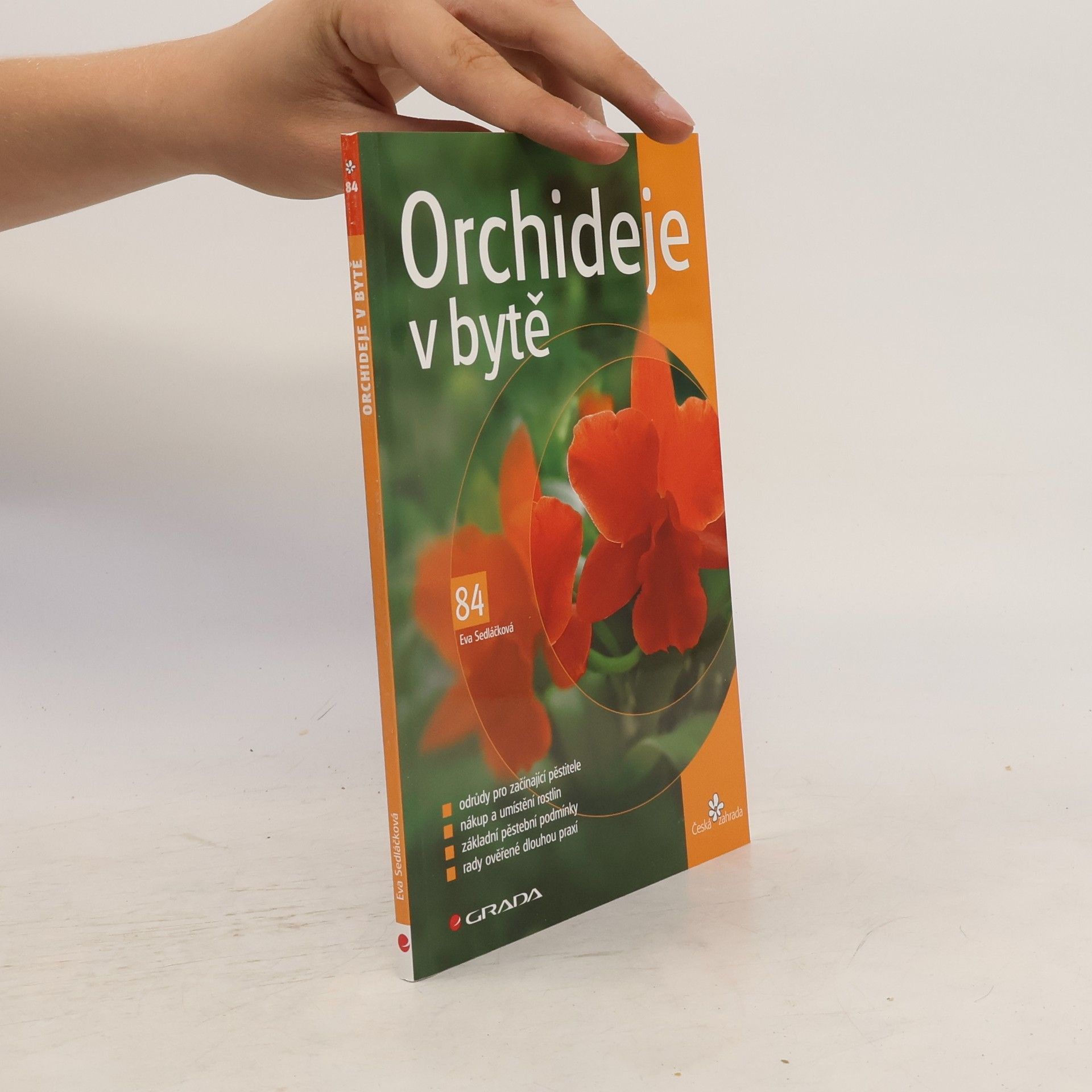 Eva Sedláčková Orchideje v bytě