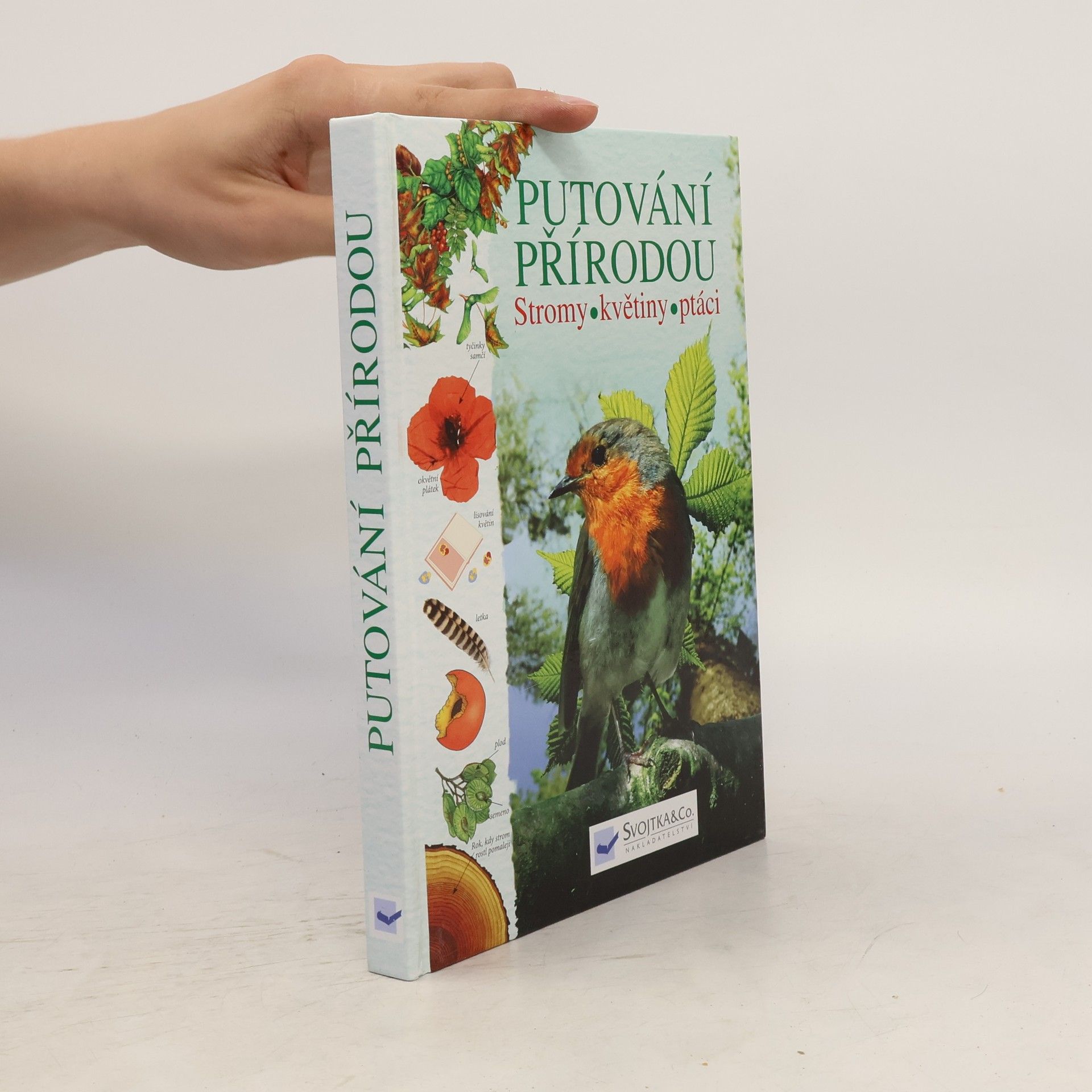 Kolektiv autorů Putování přírodou: Stromy, květiny, ptáci