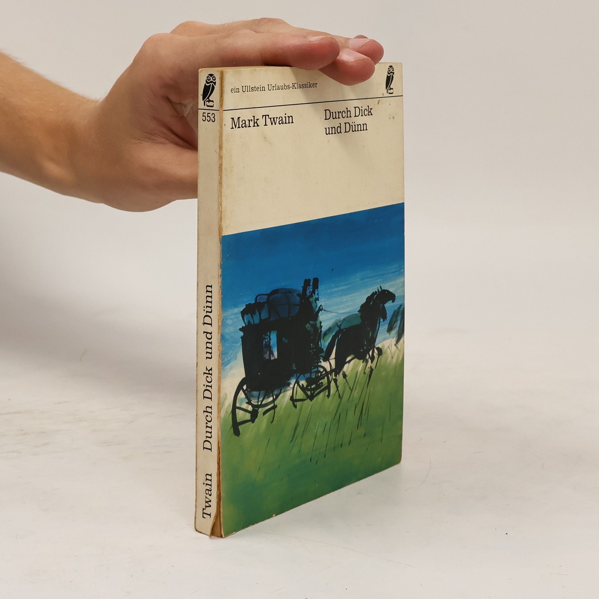 Mark Twain Durch Dick und Dünn