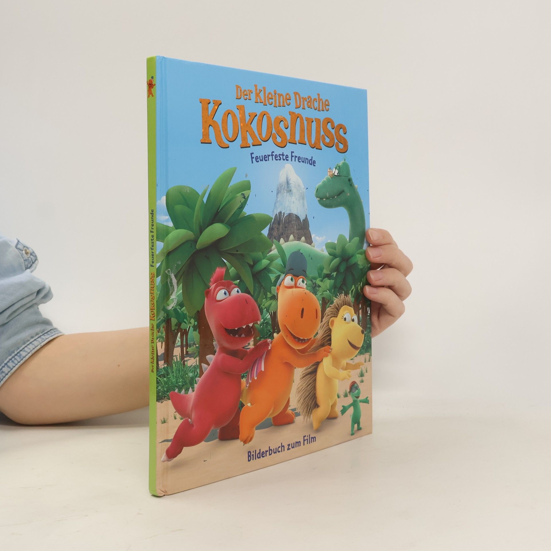 Ingo Seigner Der kleine Drache Kokosnuss. Feuerfeste Freunde