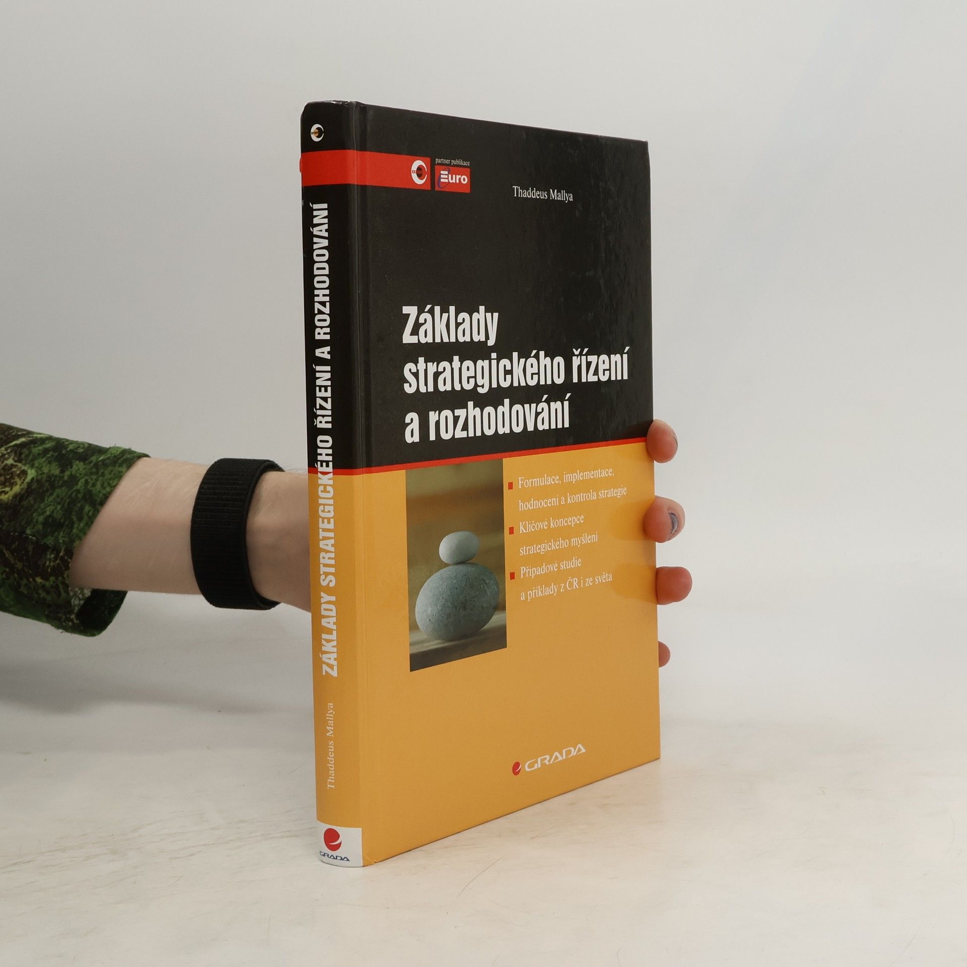 Thaddeus Mallya Základy strategického řízení a rozhodování