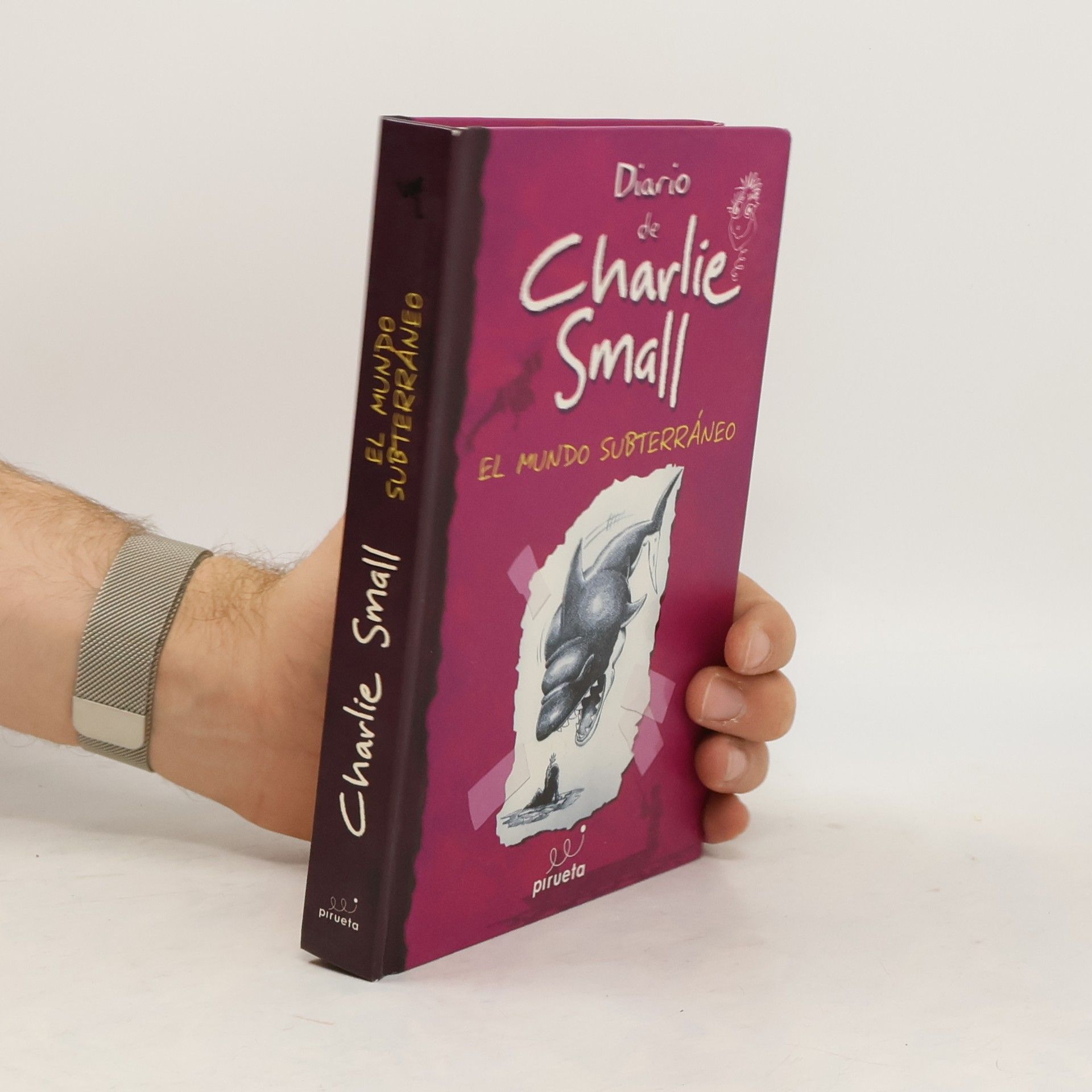 AA.VV. Diario de Charlie Small