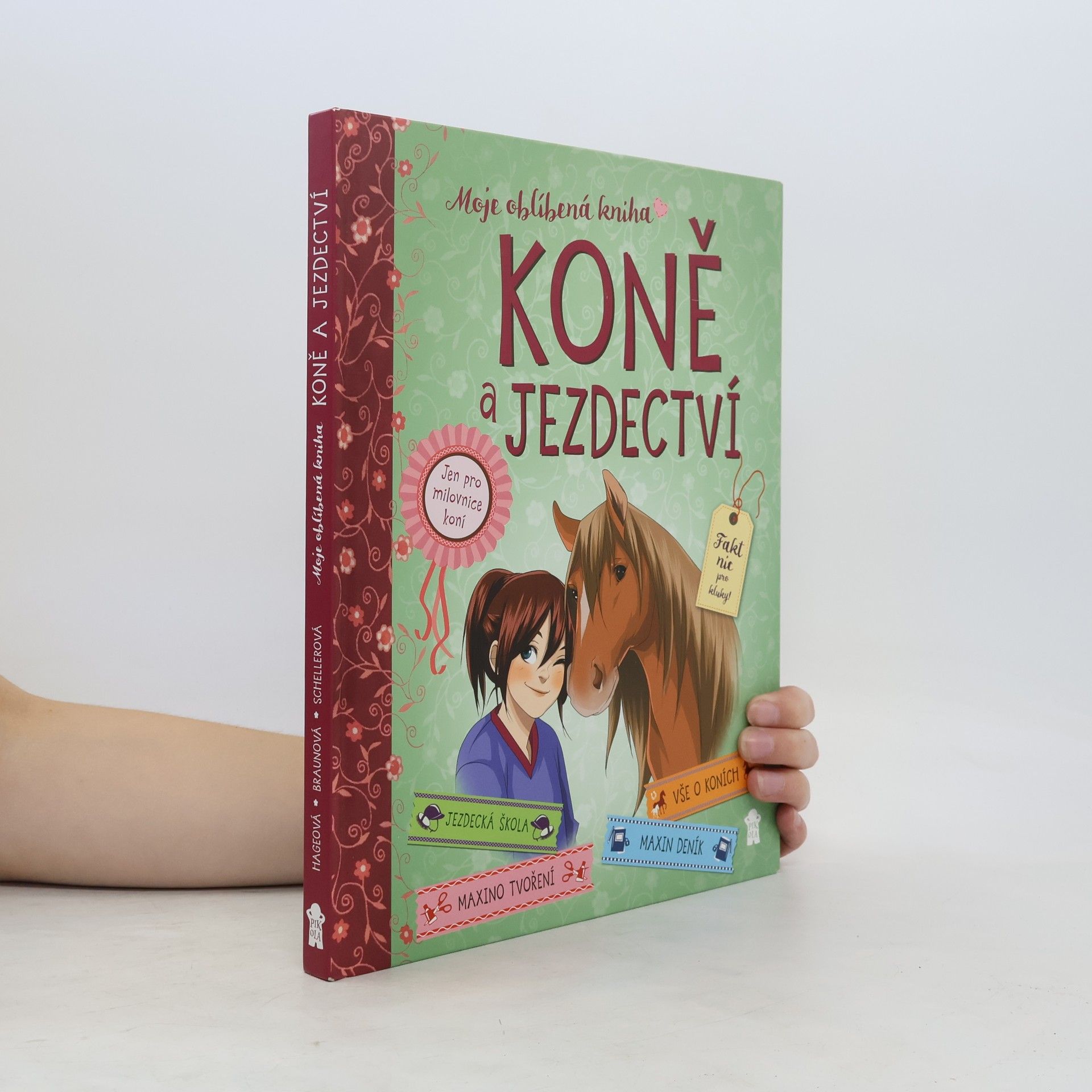 Gudrun Braun Koně a jezdectví - Moje oblíbená kniha