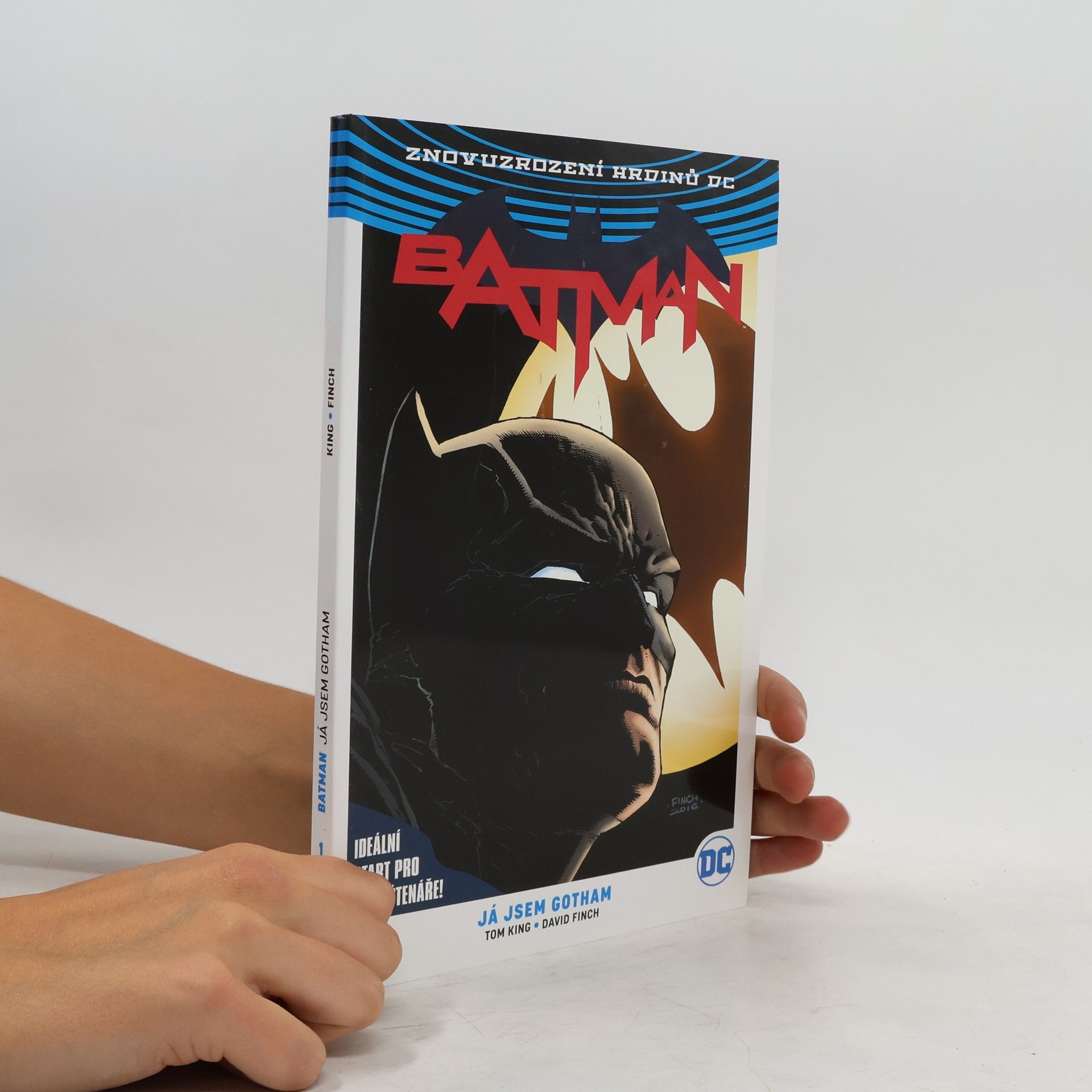 Kolektiv autorů Batman. 1. díl, Já jsem Gotham