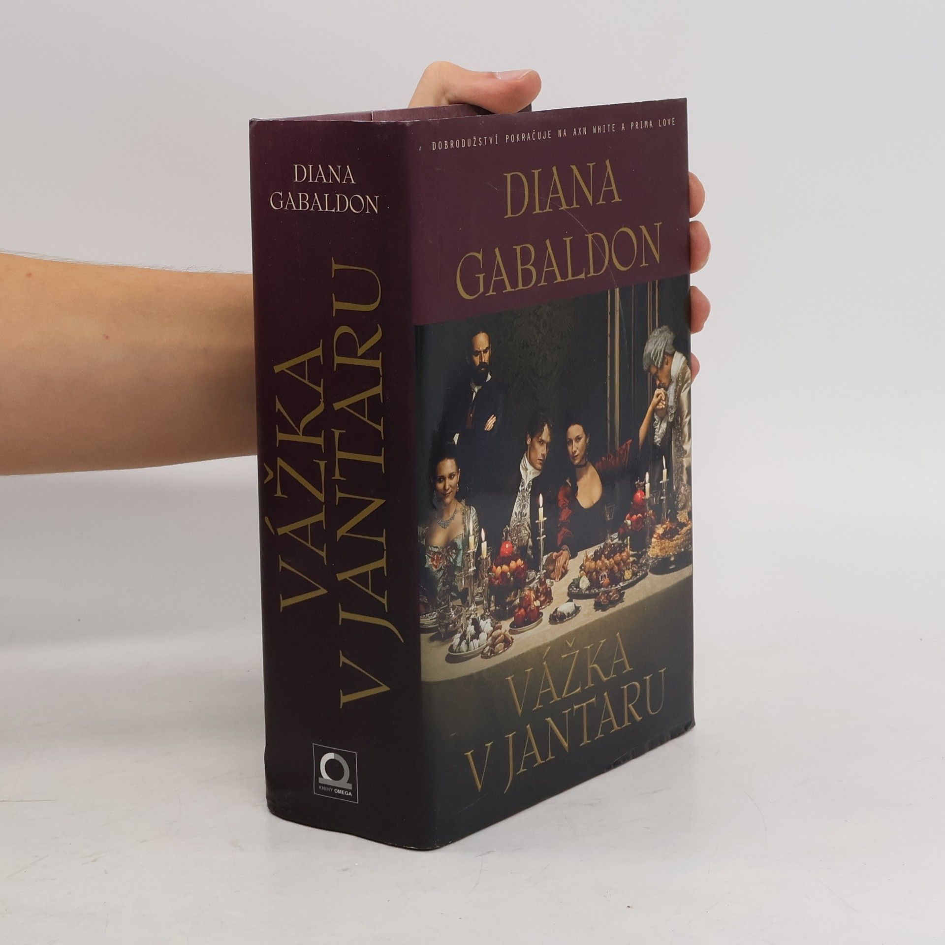 Diana Gabaldon Vážka v jantaru