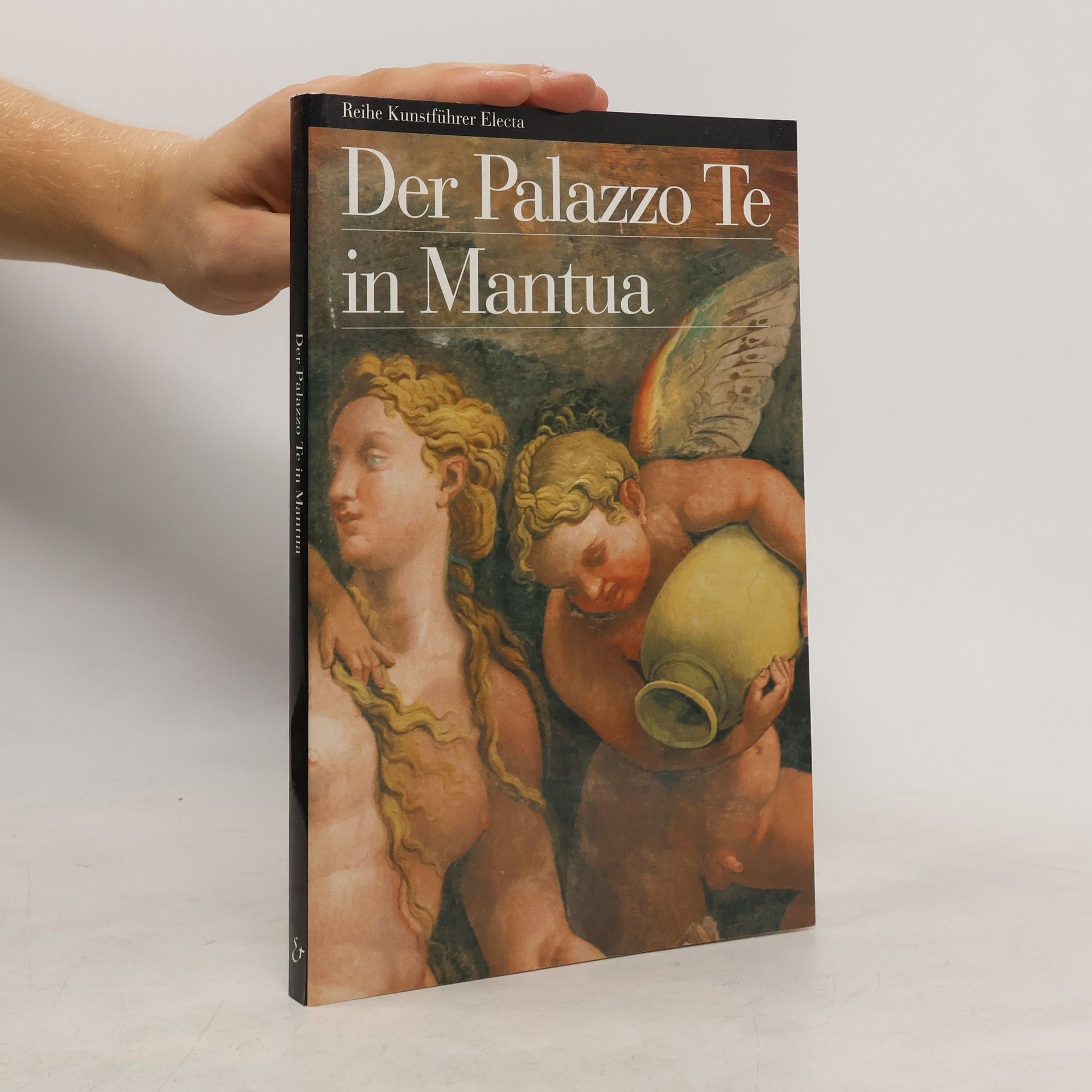 Der Palazzo Te in Mantua