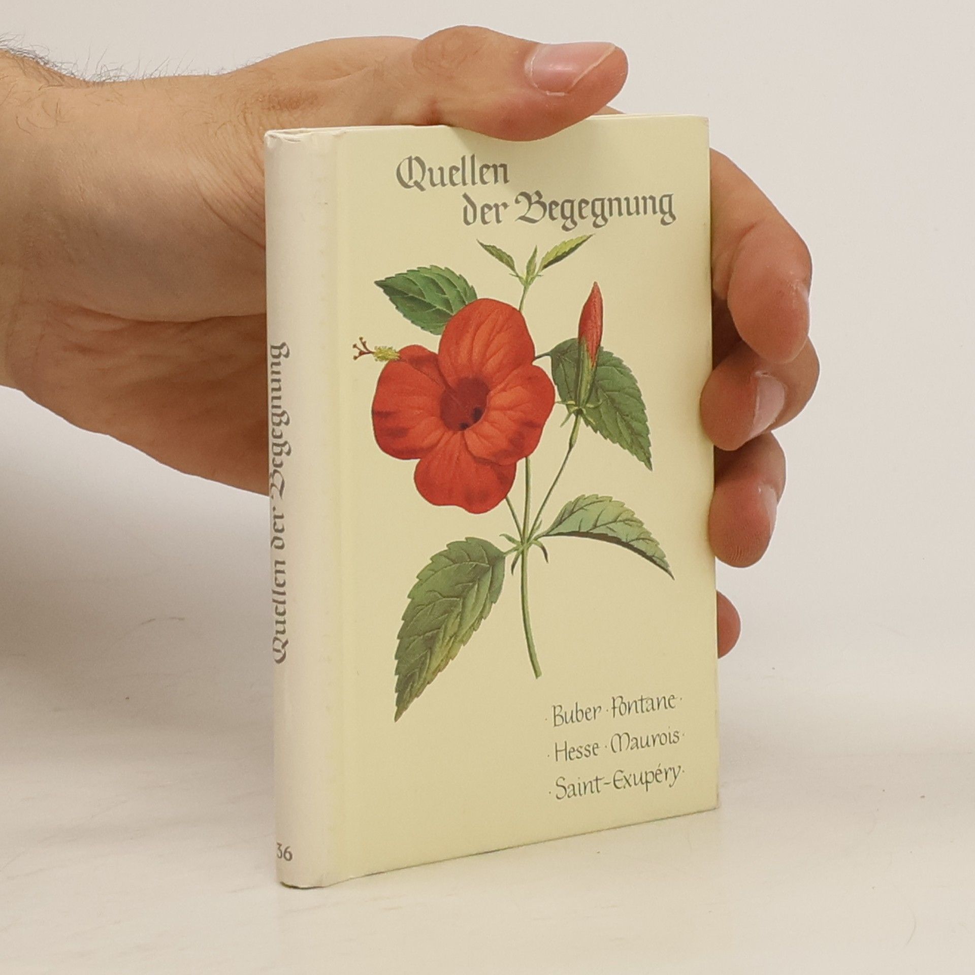 Eugen Hettinger Quellen der Begegnung
