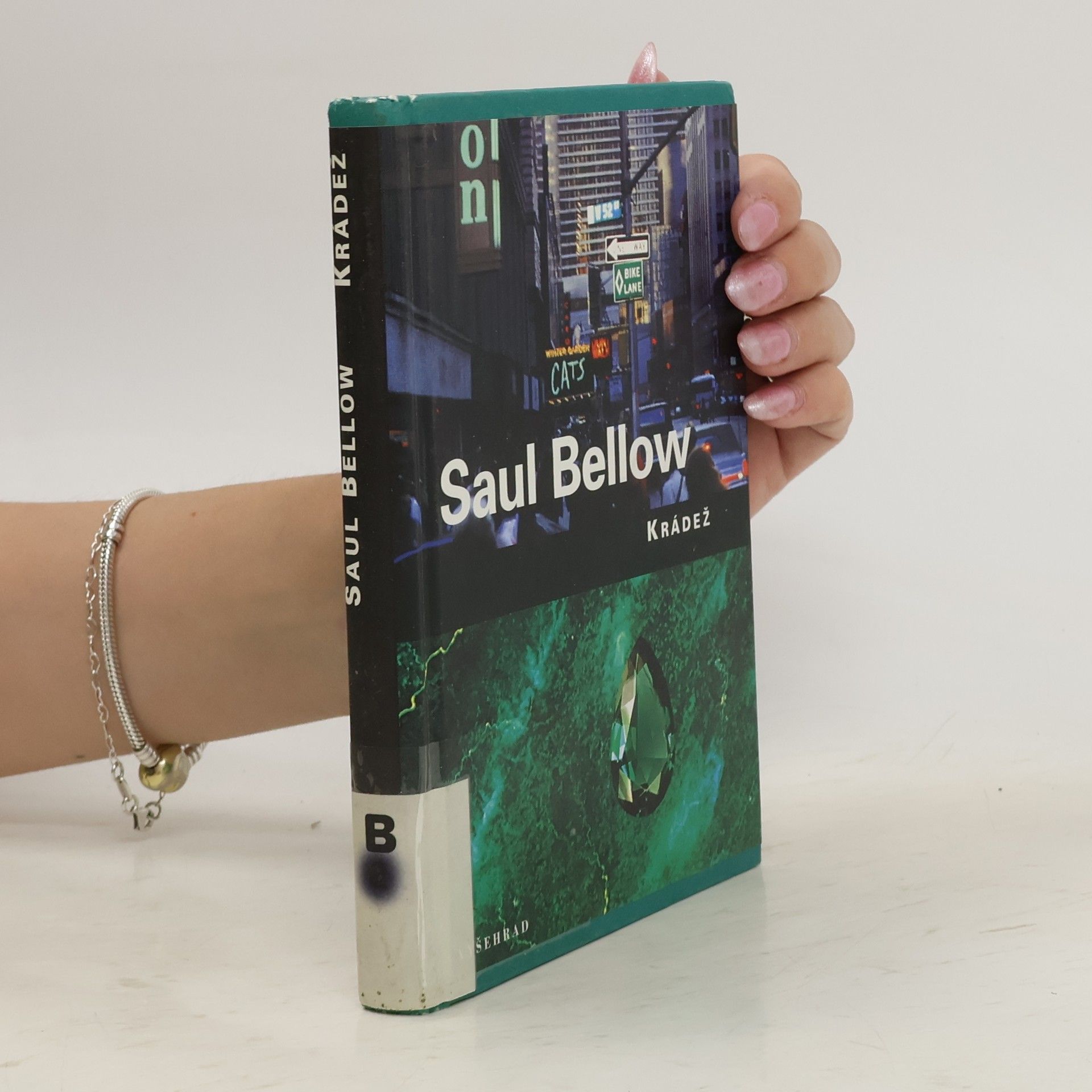 Saul Bellow Krádež