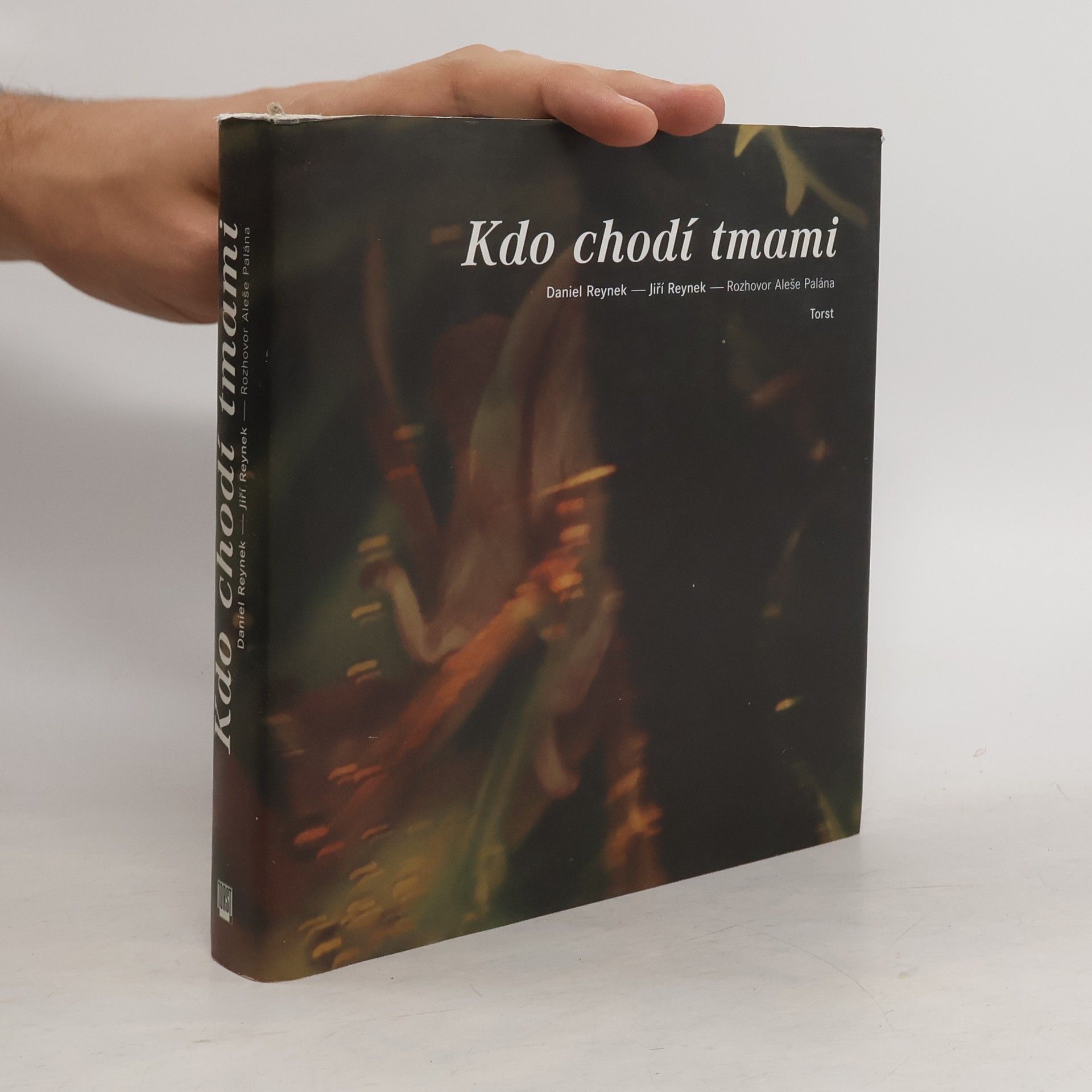 Aleš Palán Kdo chodí tmami