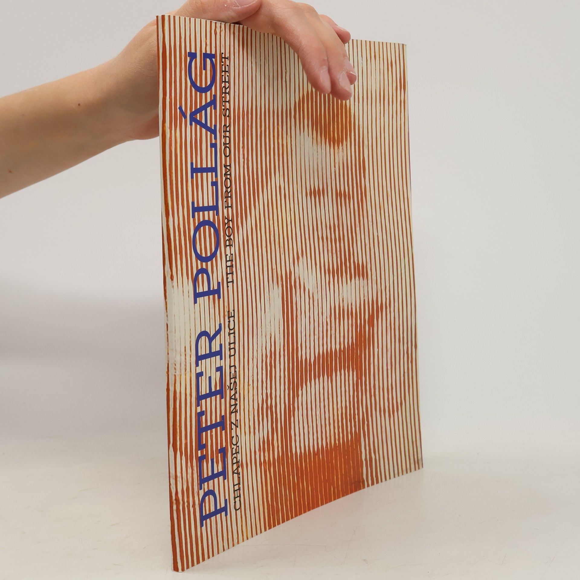 Collectif d'auteurs Peter Pollág. Chlapec z našej ulice. The Boy from our Street