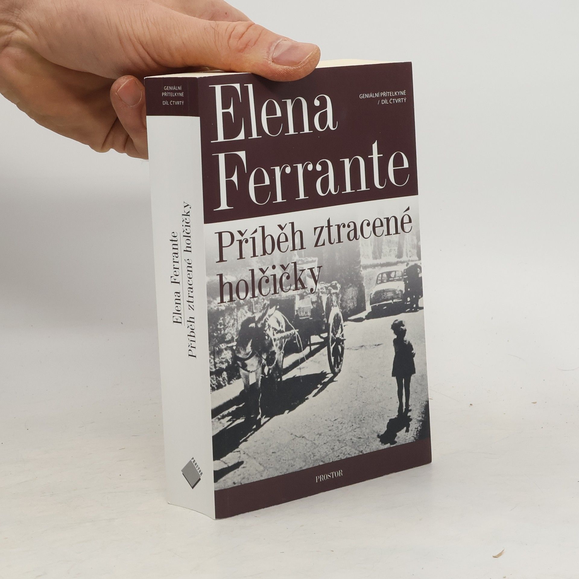 Elena Ferrante Příběh ztracené holčičky. Geniální přítelkyně. 4. díl