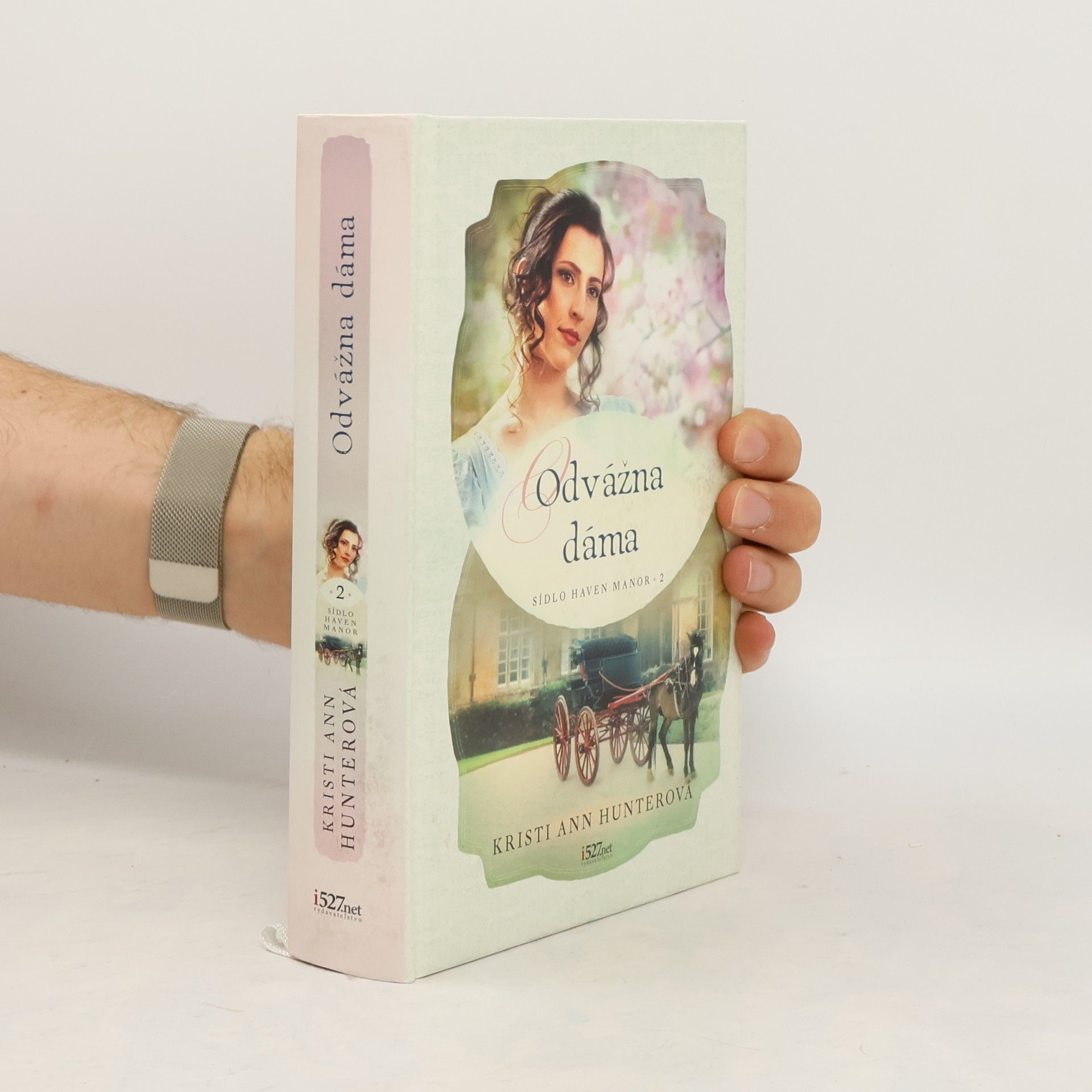 Kristi Ann Hunter Odvážna dáma