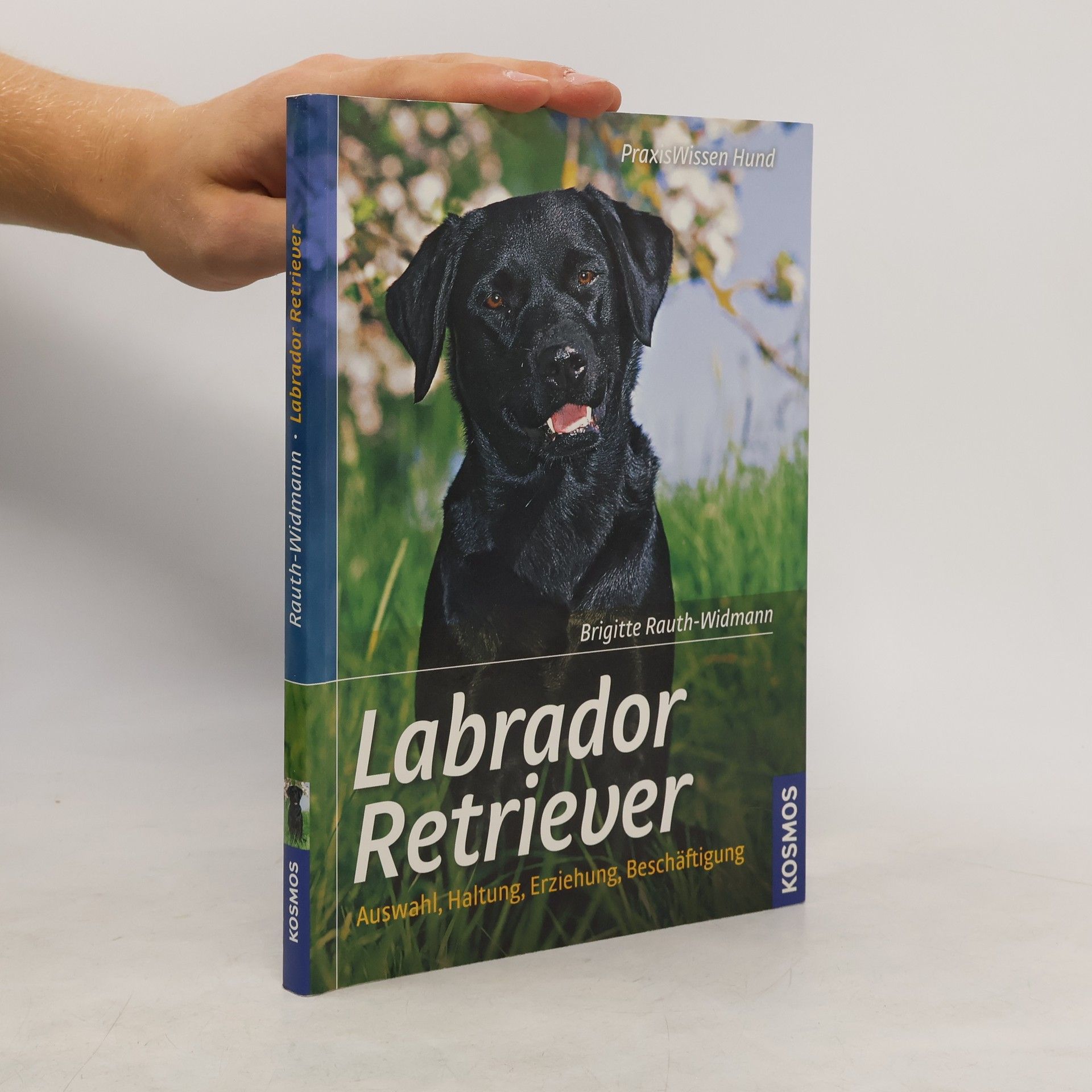 Brigitte Rauth-Widmann Labrador Retriever