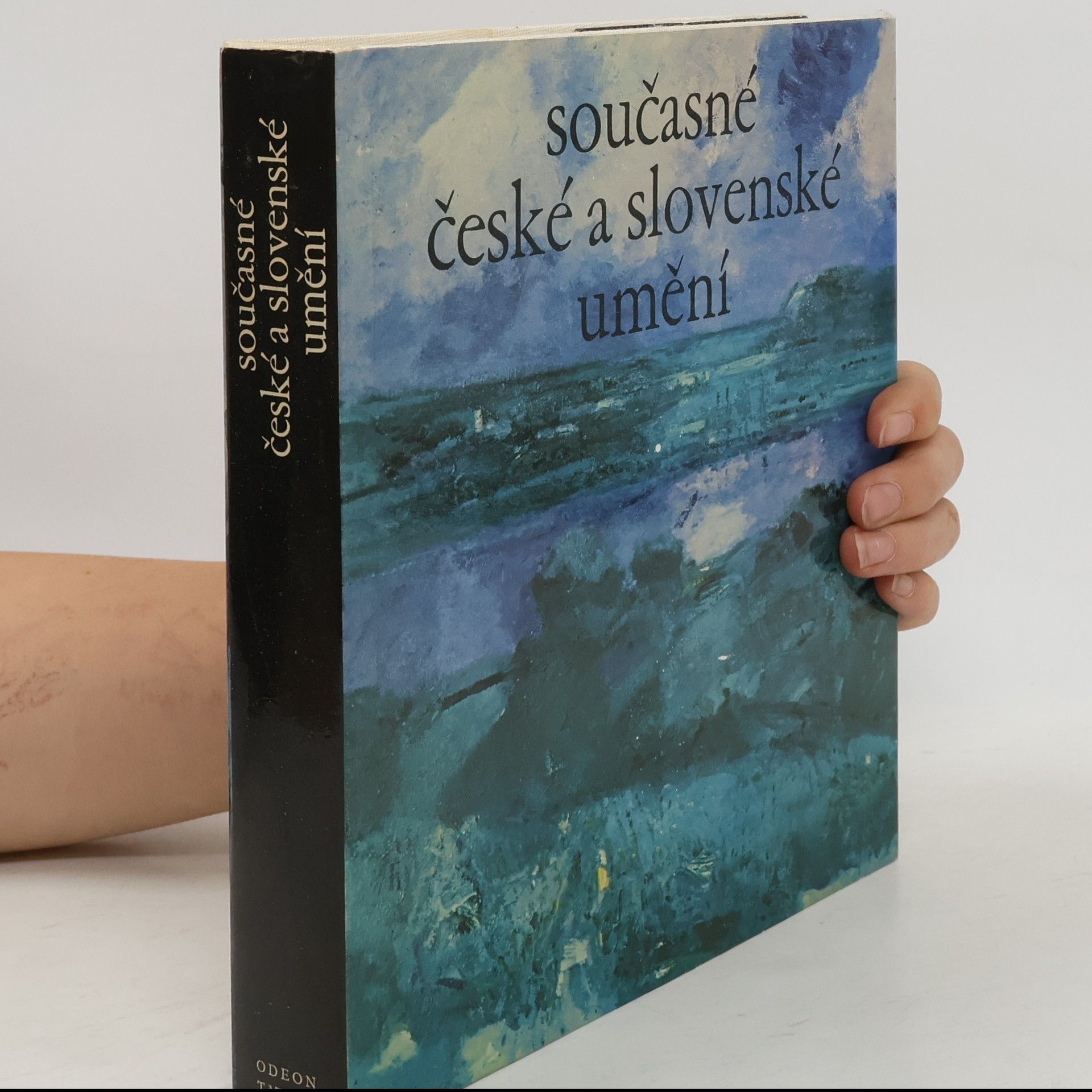 Collectif d'auteurs Současné české a slovenské umění