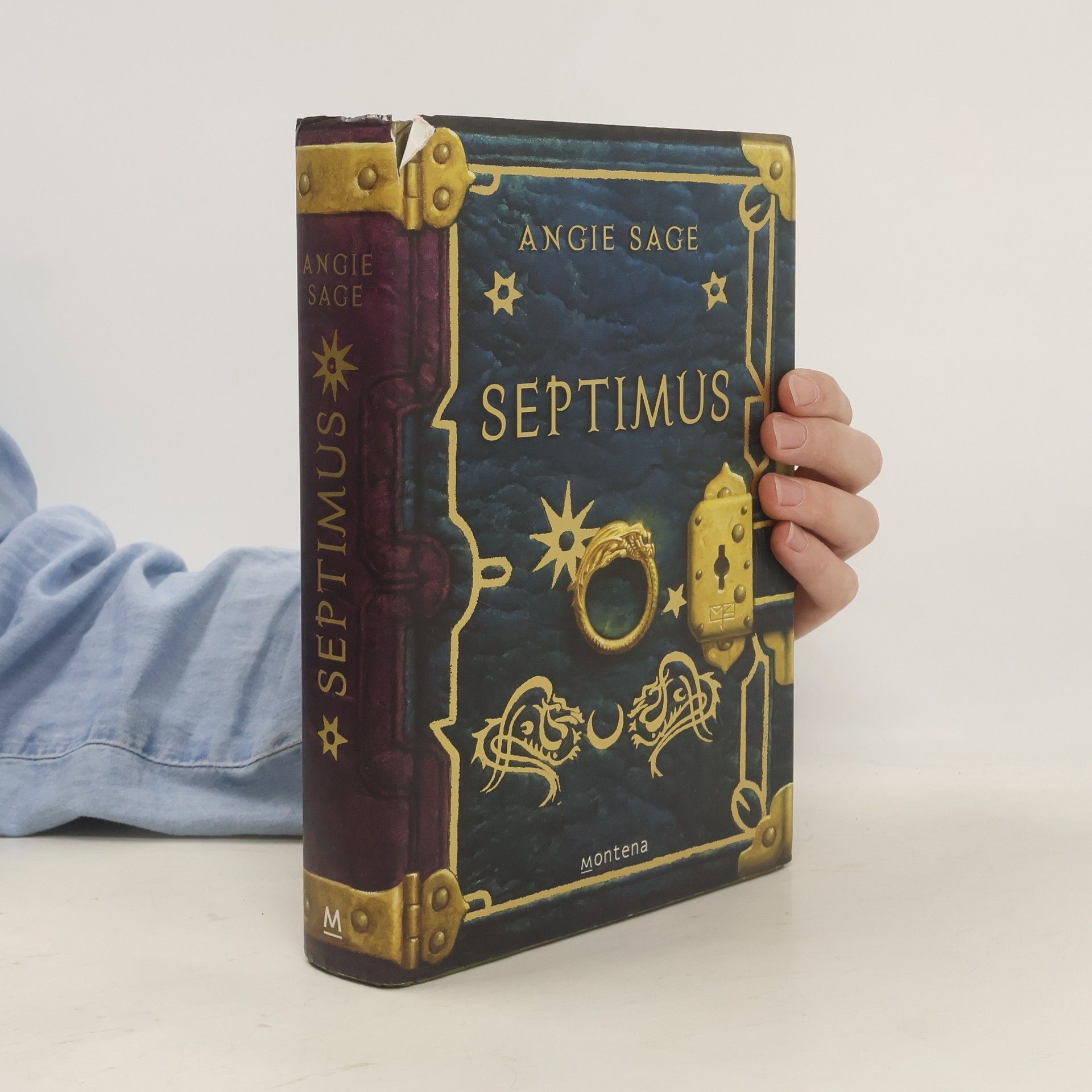 Angie Sage Septimus