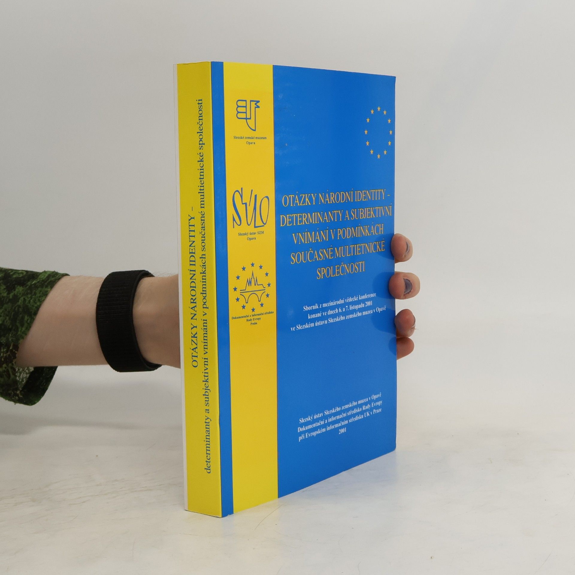 Autorenkollektiv Otázky národní identity - determinanty a subjektivní vnímání v podmínkách současné multietnické společnosti